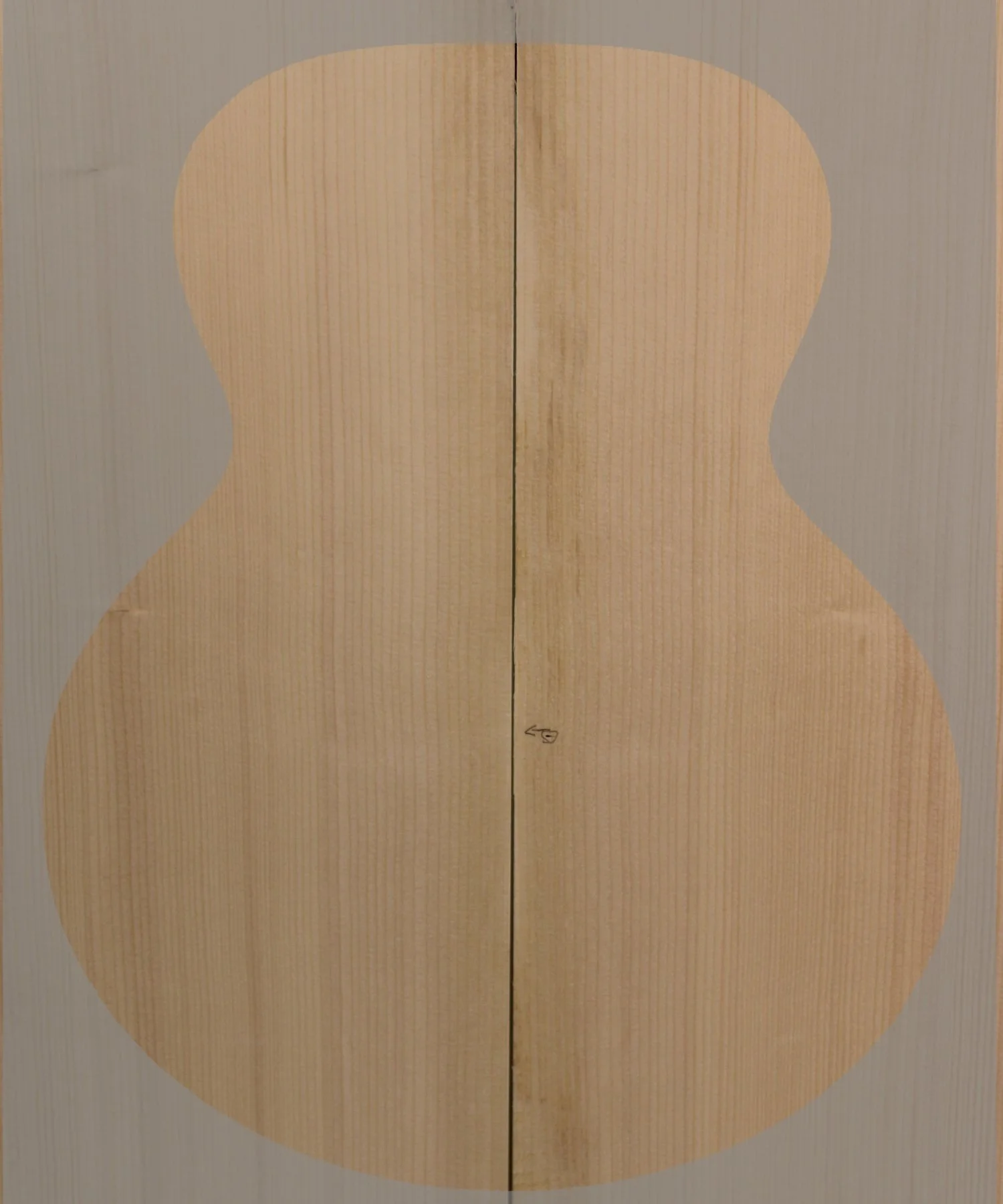 Red Spruce Archtop Guitar top-AA-Set 10
