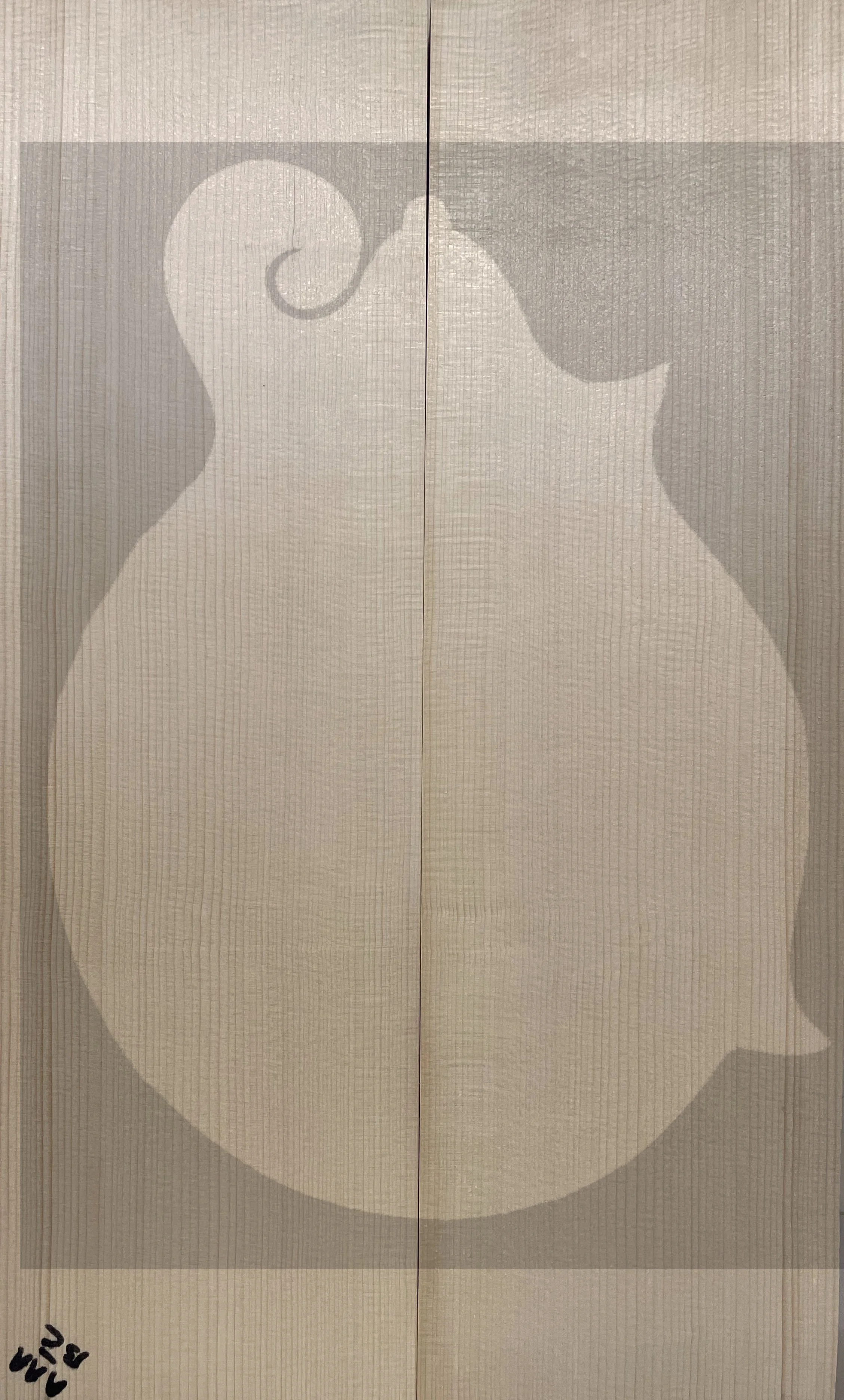 Mandolin Front Bear Claw Spruce Set 004