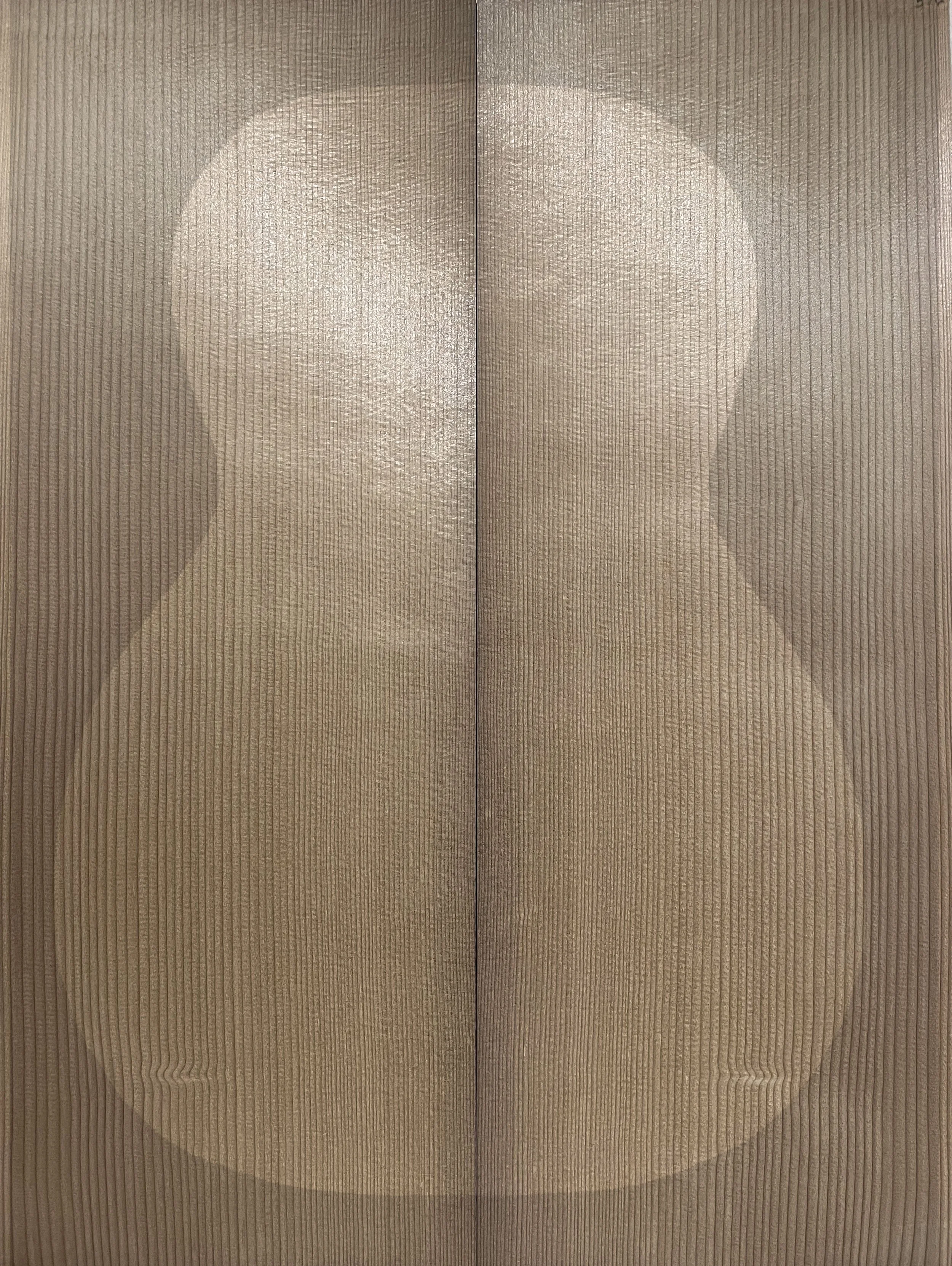 Guitar Front Torrified Red Spruce Set 88 (Master Grade)