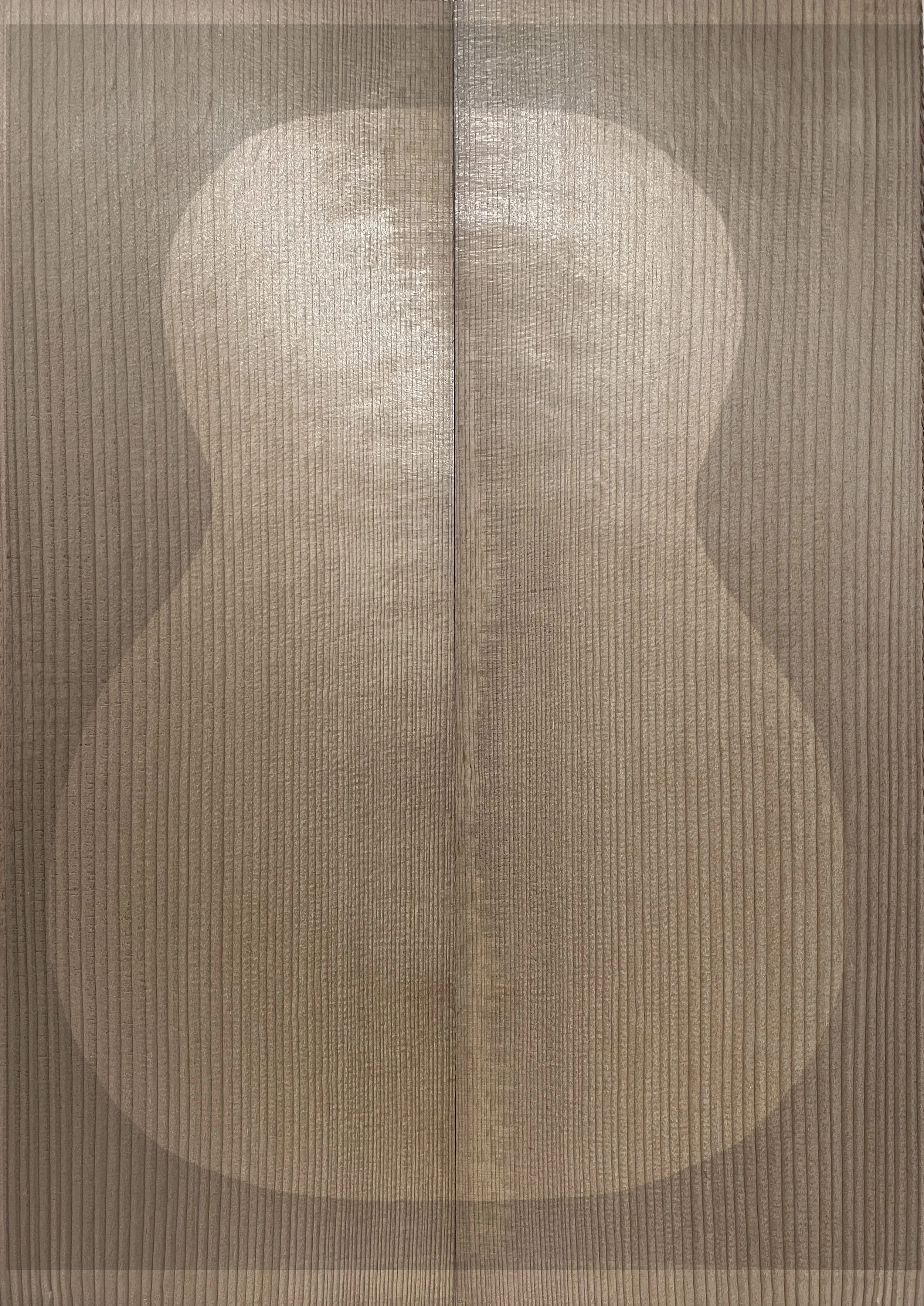 Guitar Front Torrified Red Spruce Set 99 (Master Grade)