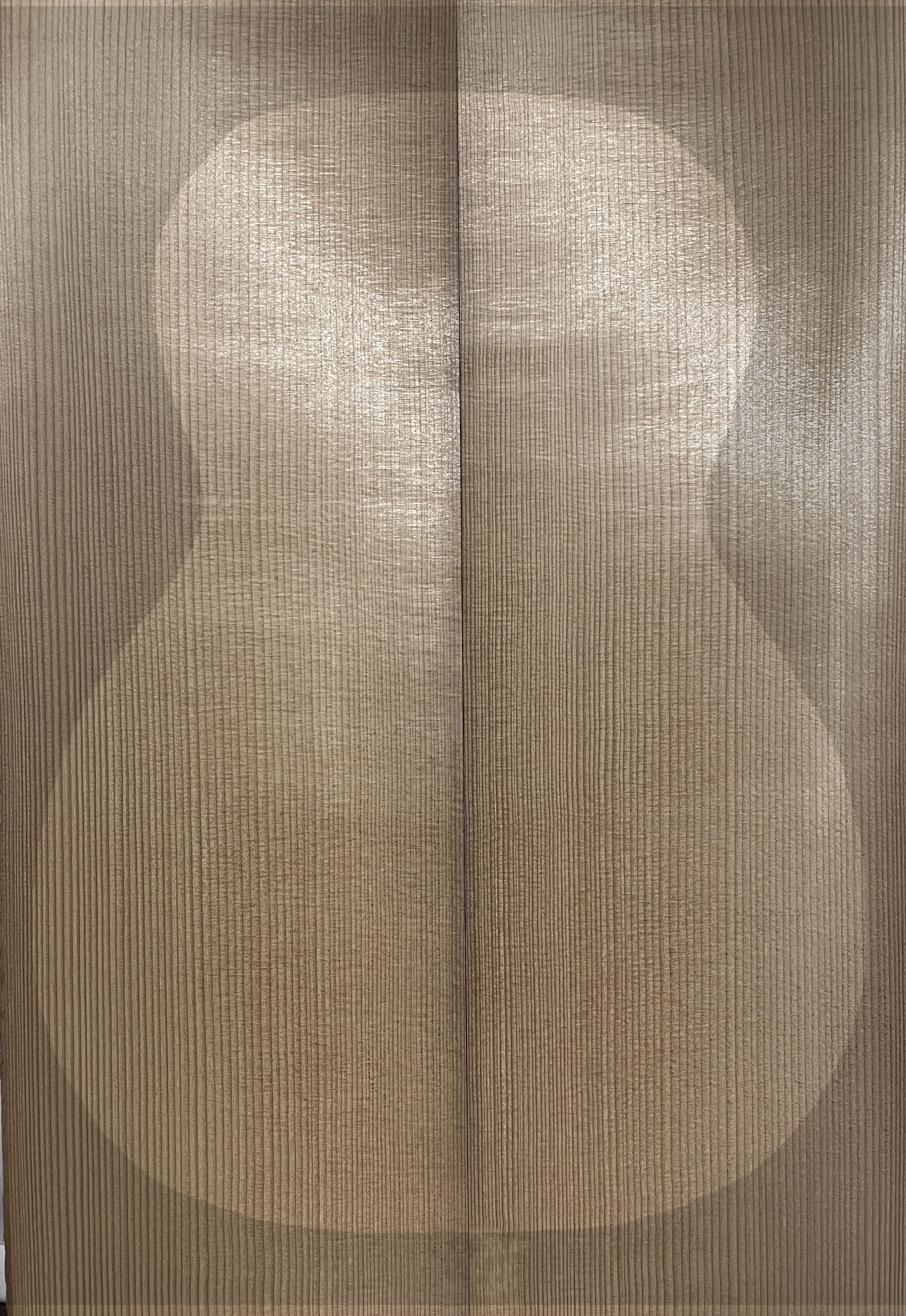 Guitar Front Torrified Red Spruce Set 90 (Master Grade)