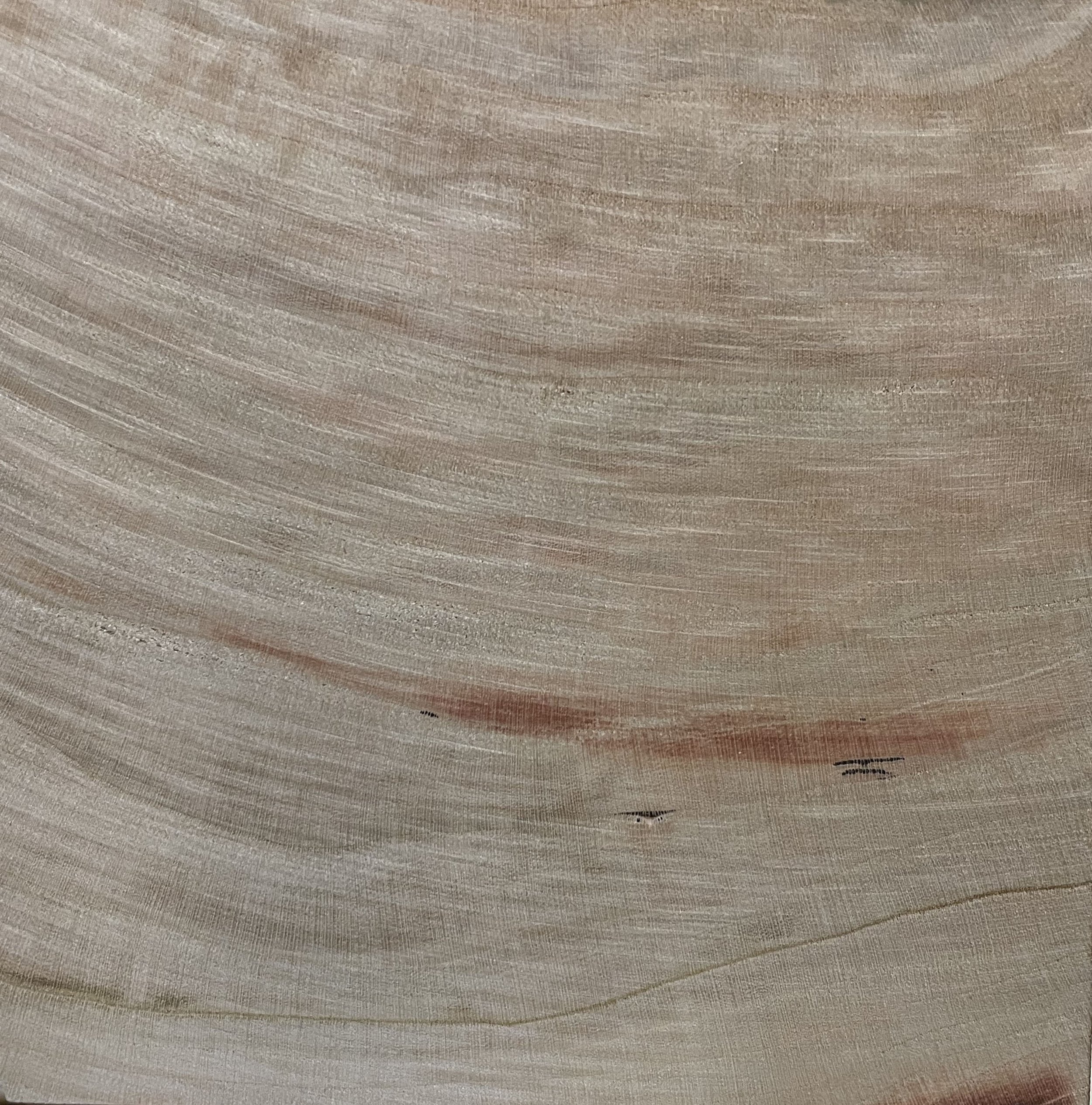 gncc8 cross section.jpg