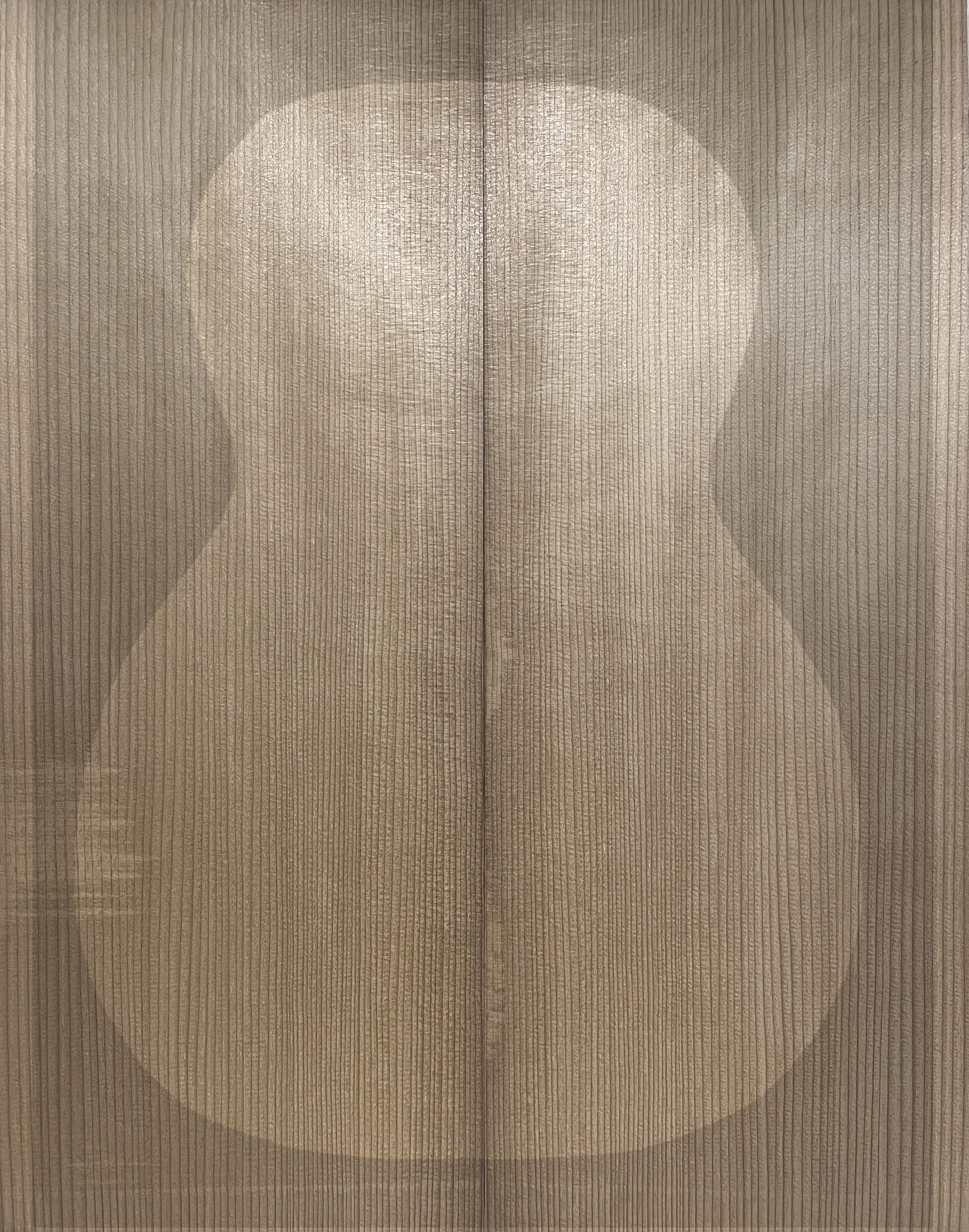 Guitar Front Torrified Red Spruce Set 94 (Master Grade)