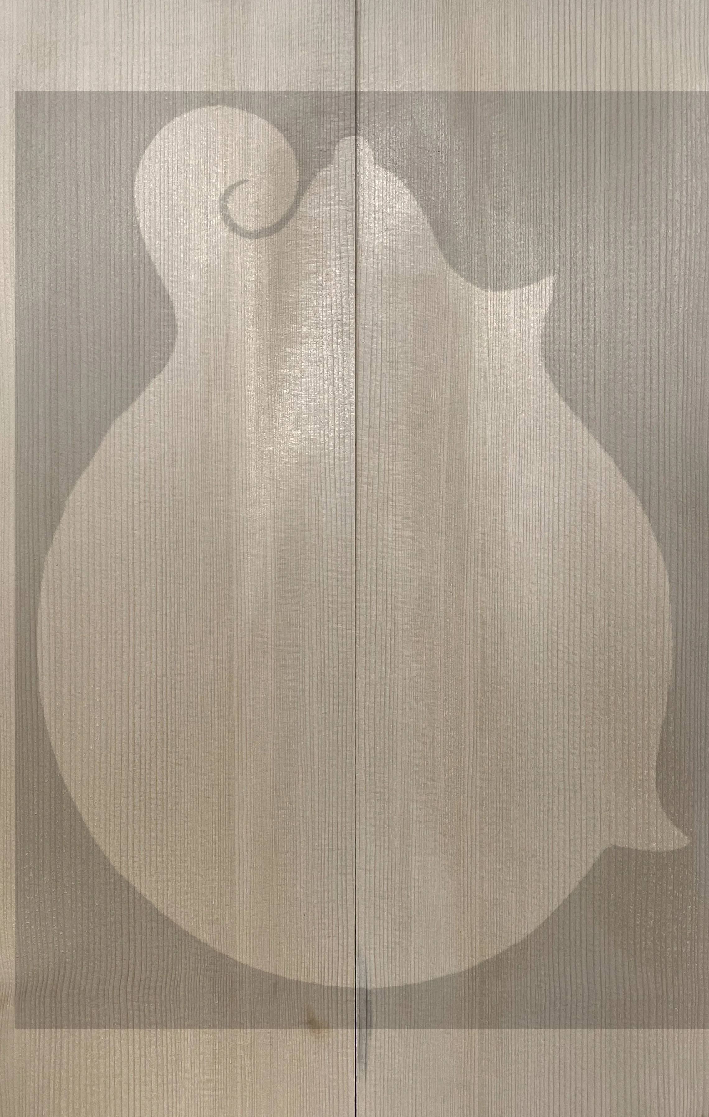 Mandolin Front Set 001