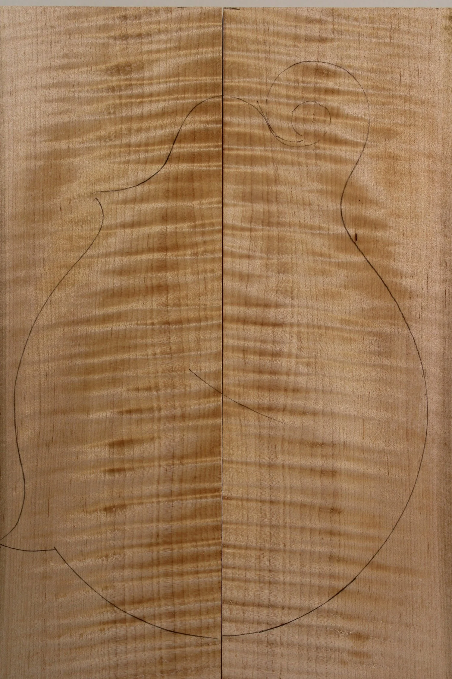 Mandolin Maple Back and Sides-AAA-Set #RM-AAA-022