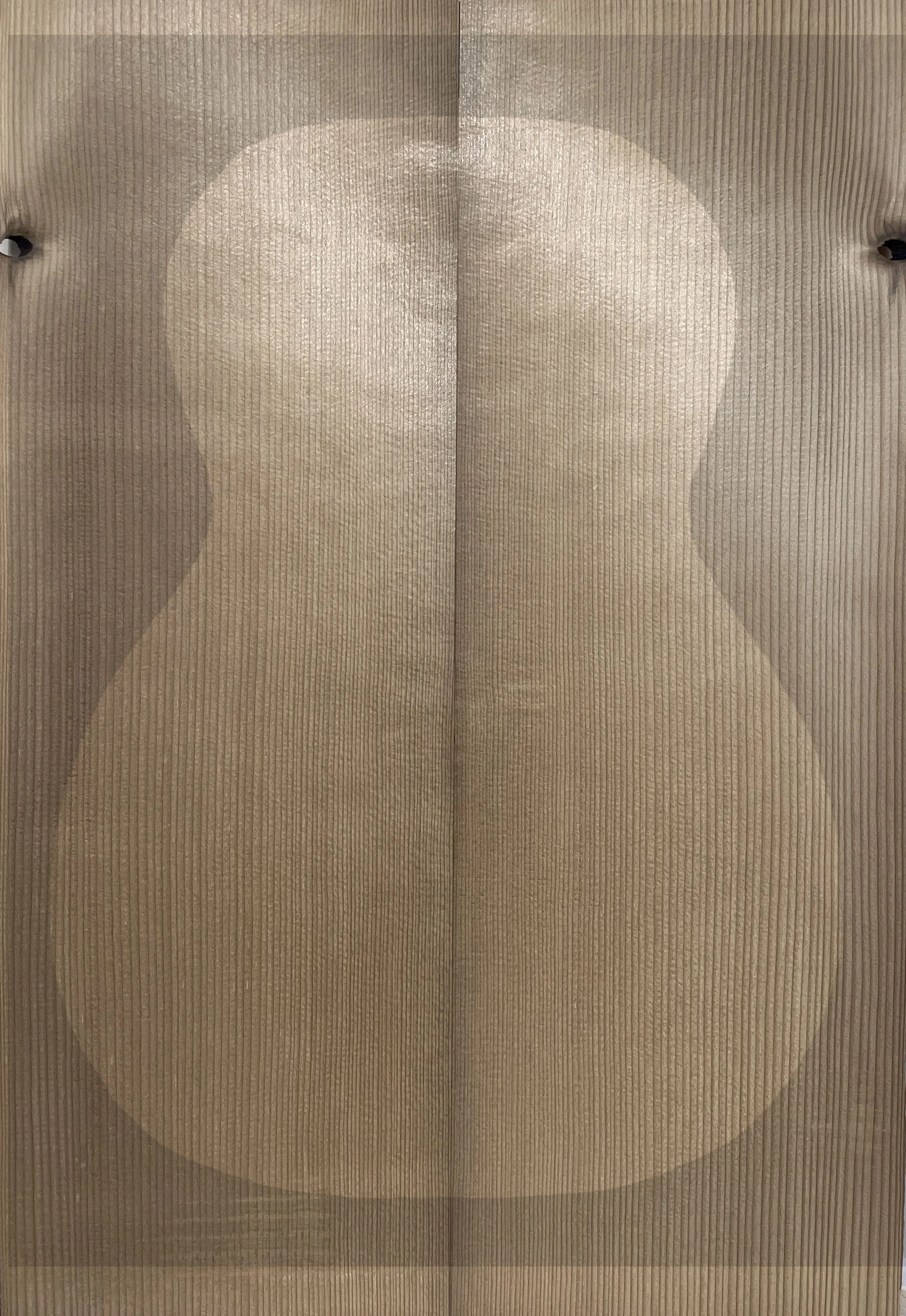 Guitar Front Torrified Red Spruce Set 98 (Master Grade)