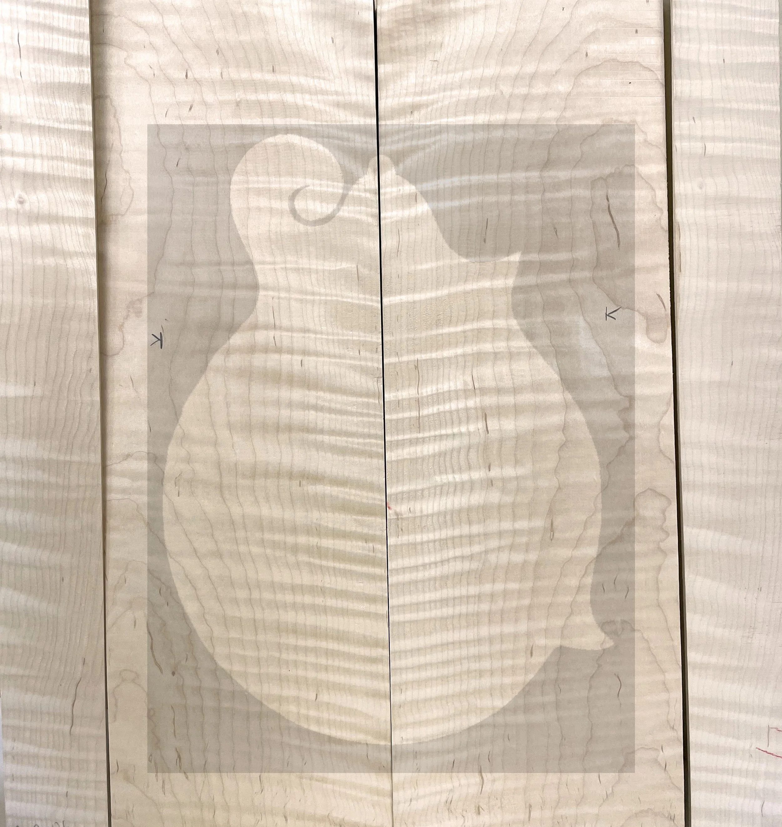 Mandolin Back and Sides - Curly Maple Set 006