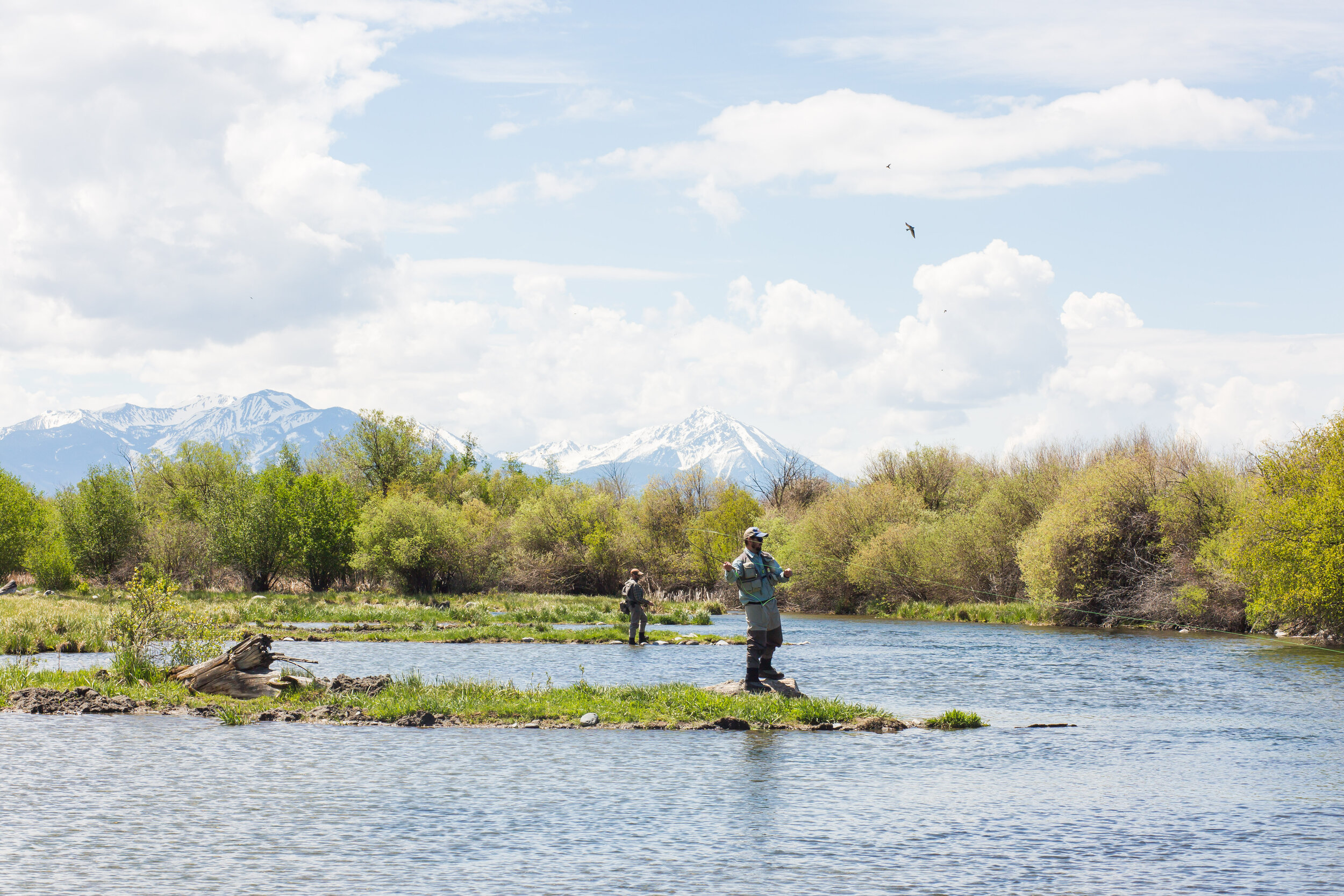 September Fishing on the Montana Spring Creeks
