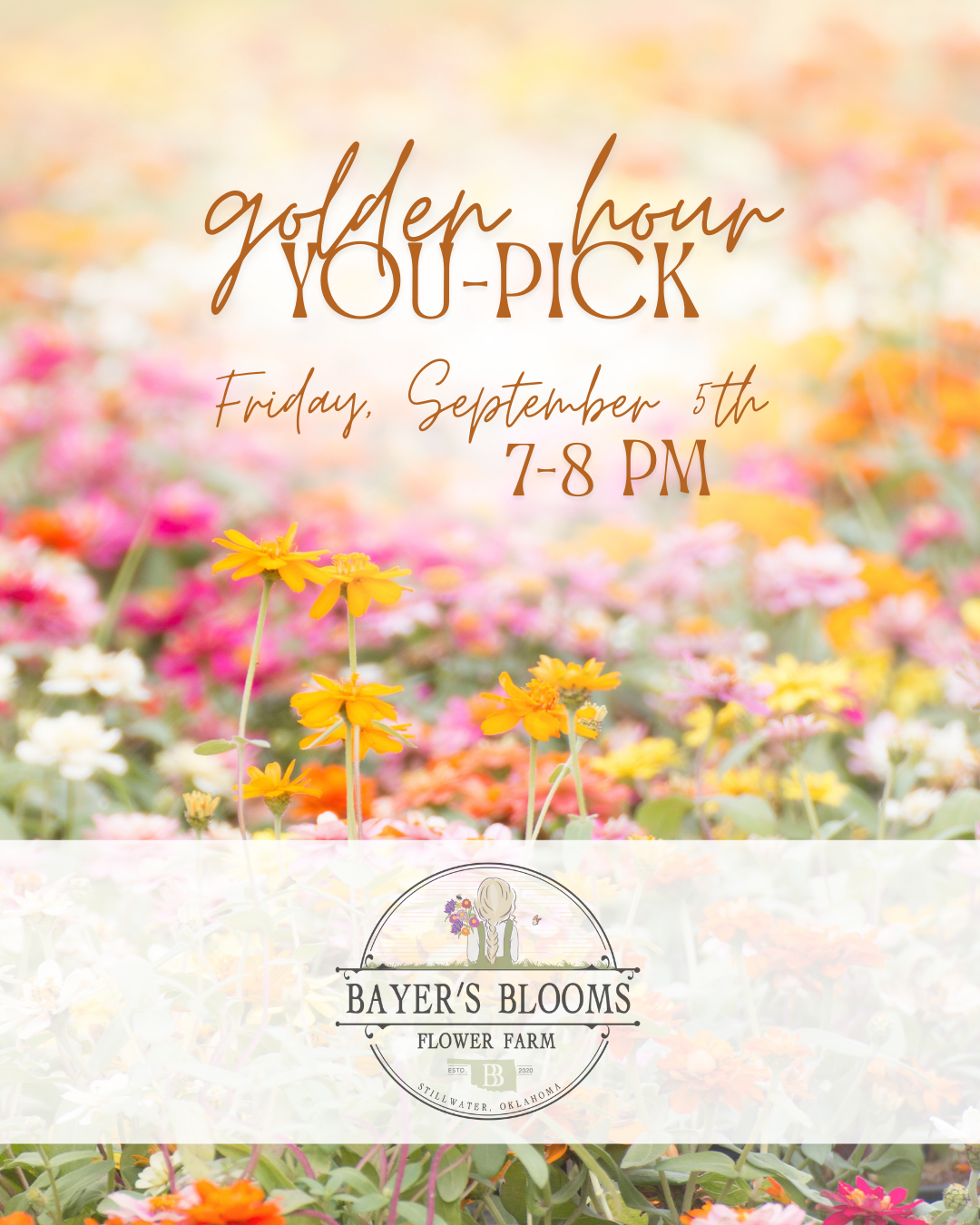 Golden Hour You-Pick