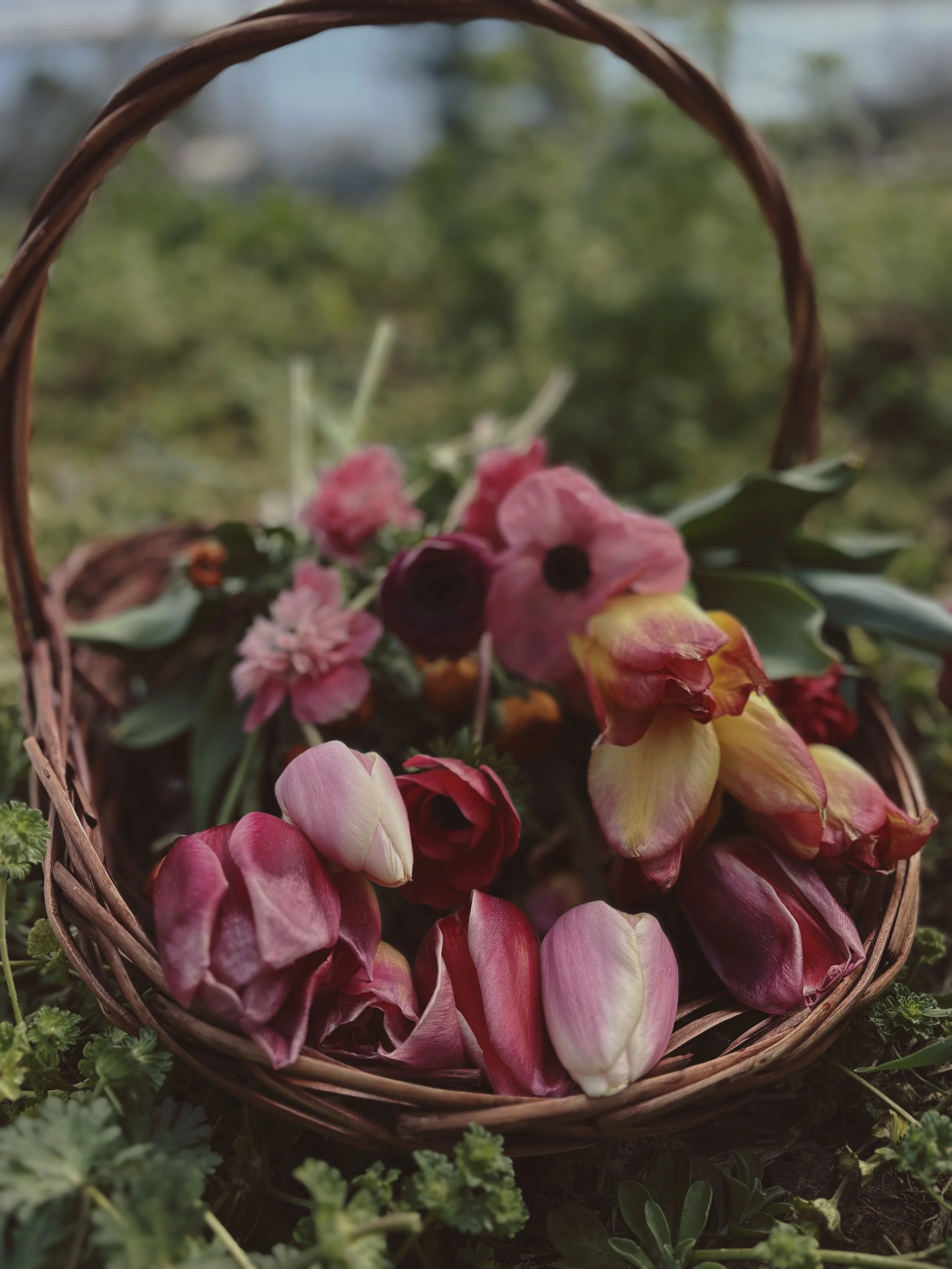 8D563A16-A583-460C-800E-6D34C9606C1F 2.JPEG