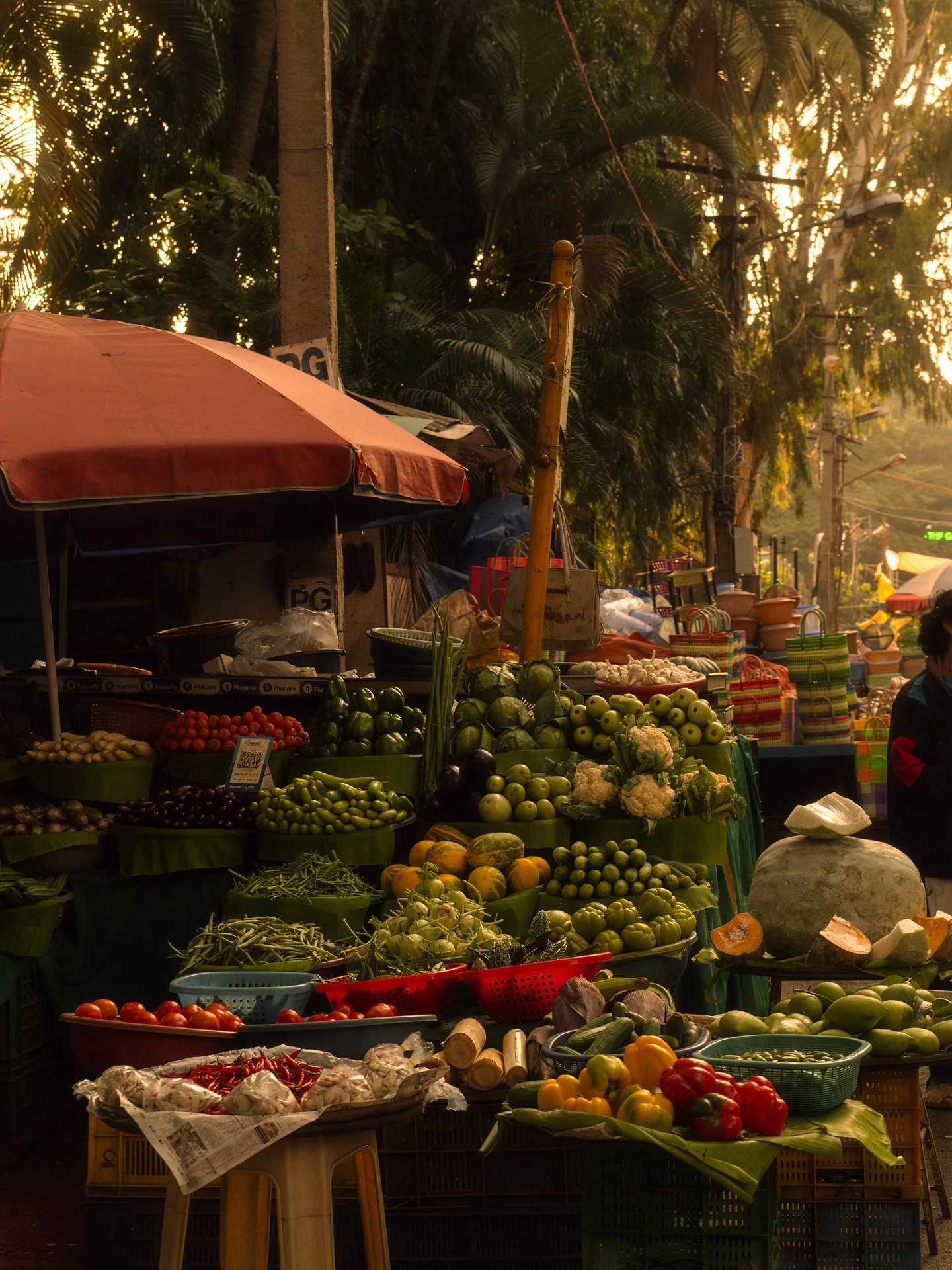 my dream sabbatical would be spending months flying around Bangalore in an auto taking as many pictures of fruit and flowers as possible 💭🧘🏽&zwj;♀️🫶🪷🥭