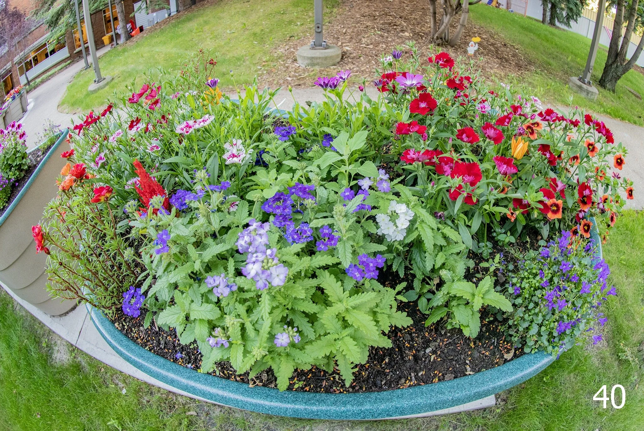 Growing flowers in a Green Circle Garden