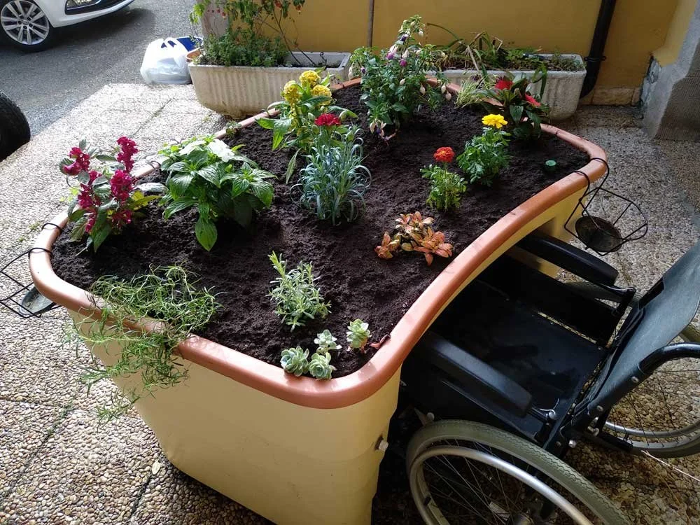 Wheelchair-raised-garden-bed.jpg