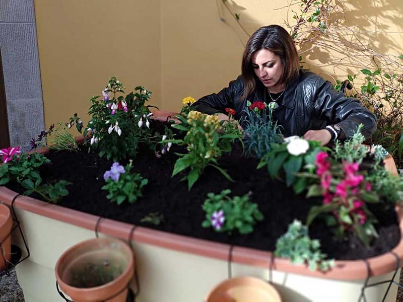 comfortable-gardening-whilst-seated-or-standing-up.jpg