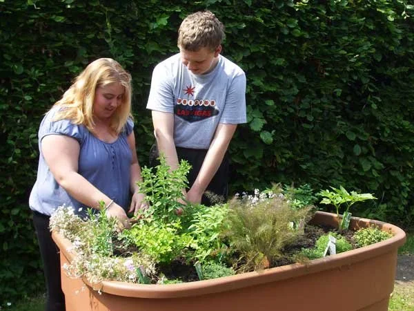 Sensory-gardens-for-teens-horticultural-therapy-gardens-make-any-community-garden-accessible.jpg