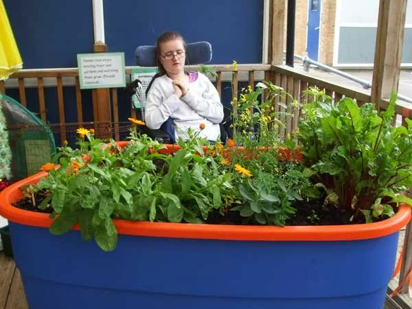 sensory-garden-for-wheelchair-accessible-gardening-for-Horticultural-therapy-in-special-education-schools.jpg