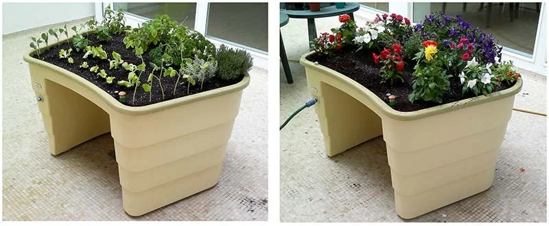 Special Needs Gardens: Cultivate Inclusion in Schools with These Wheelchair Accessible Garden Beds