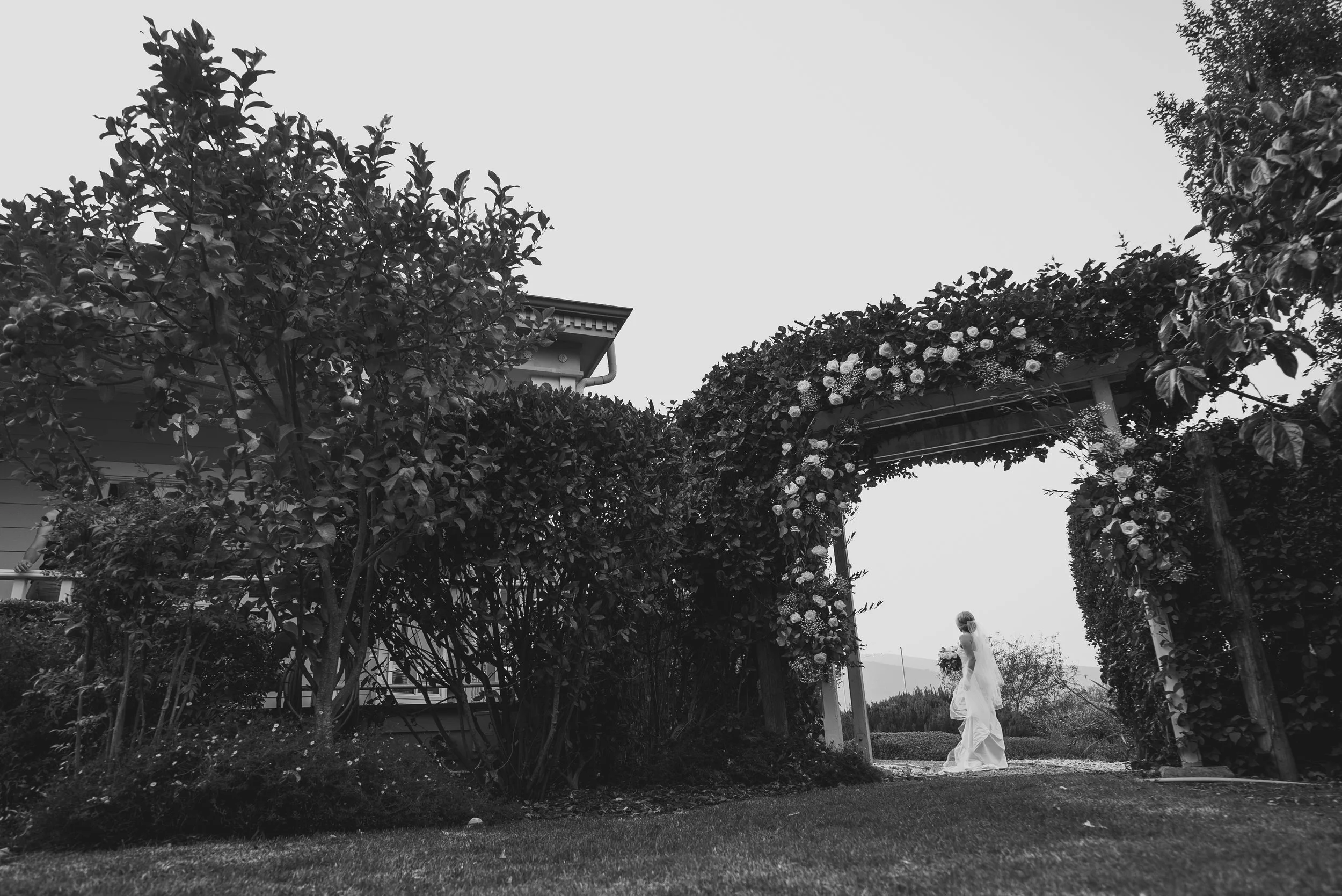 201003-Laura-Paul-Wedding-3411.jpg
