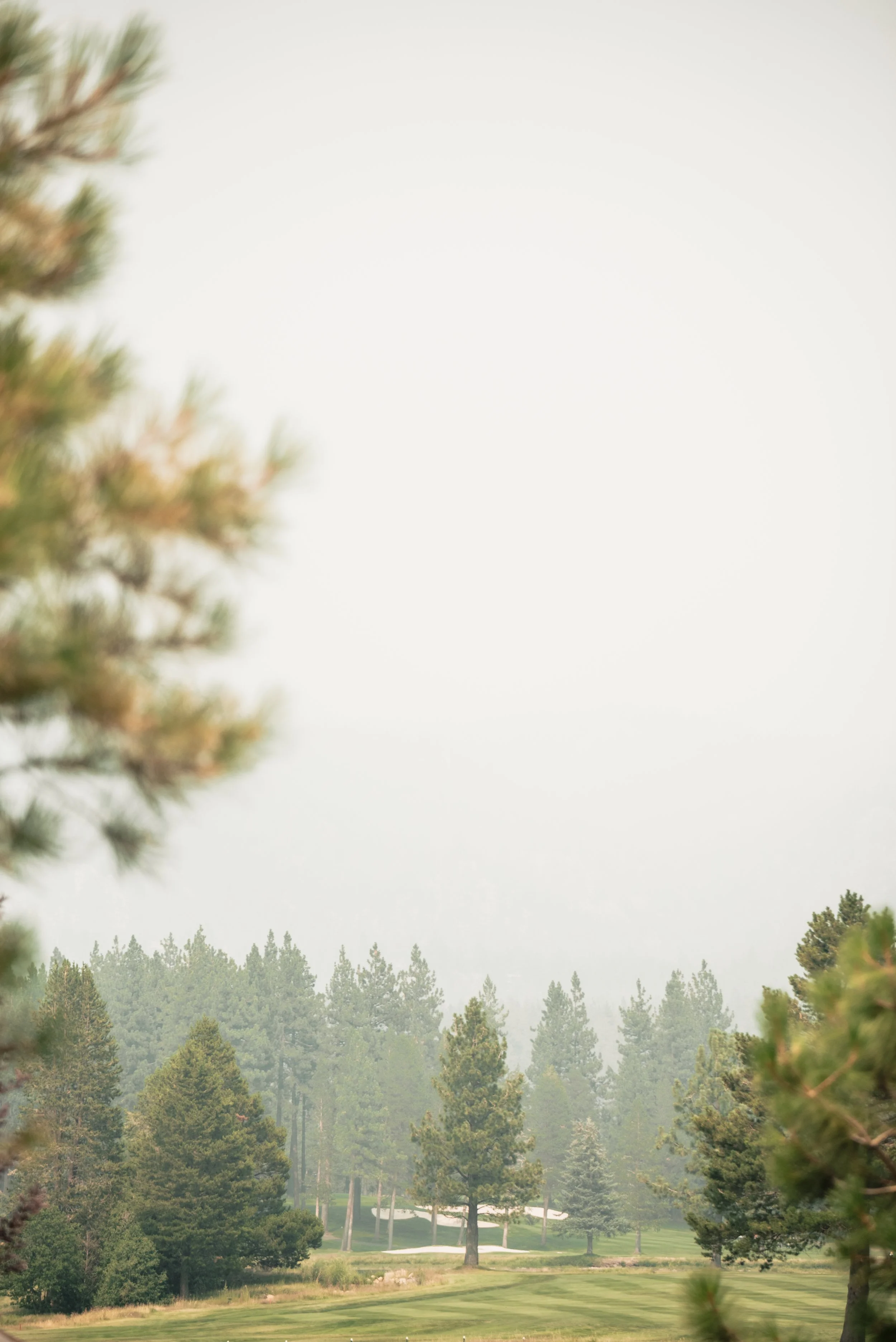 210724-Harper-Wedding-13397.jpg
