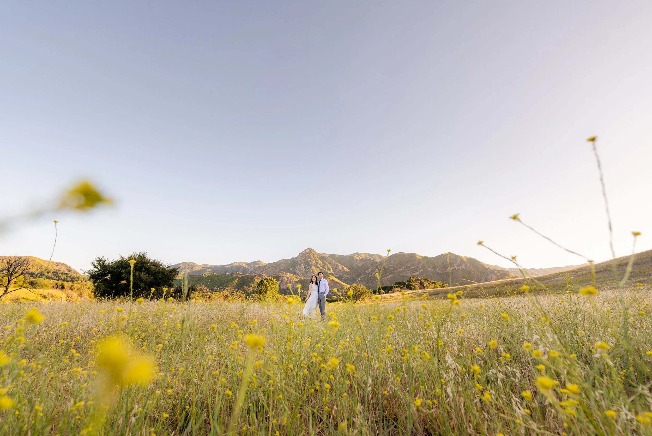Couple standing in mountain meadow surrounded by wildflowers, Orange County engagement photographer