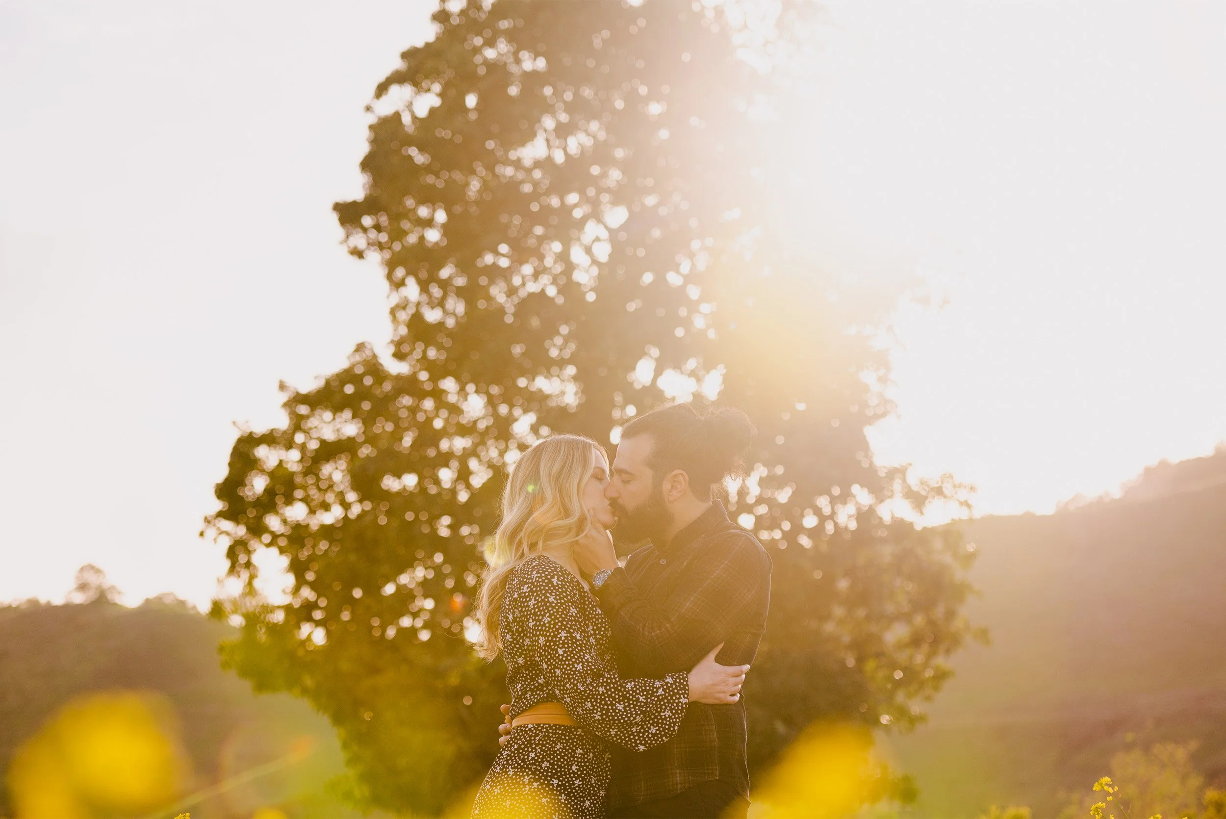 Orange County engagement photographer captures couple sharing a kiss in a sunlit golden field