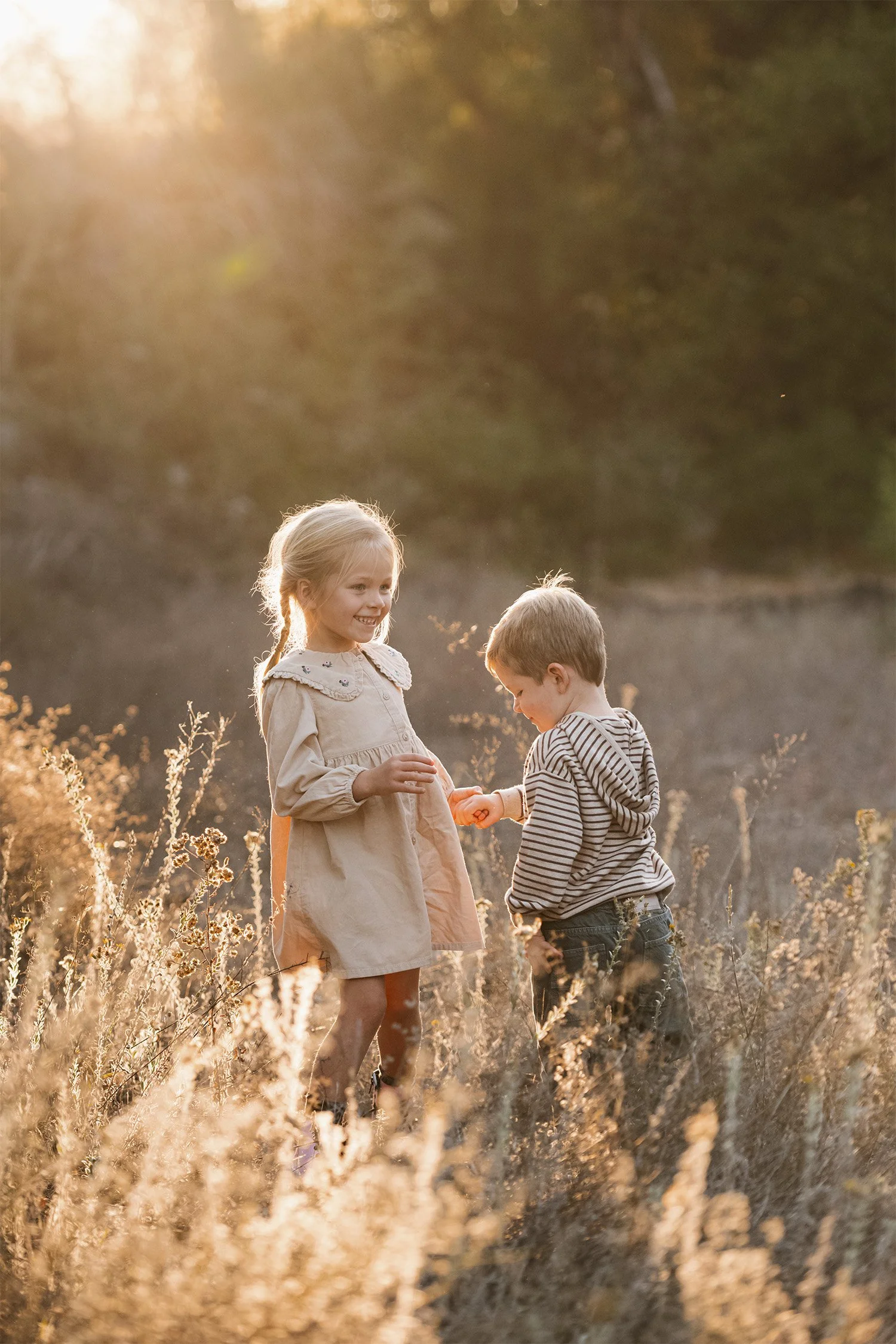 Highly recommended family photographer photographs sister and brother holding hands in a golden wildflower field in Orange County