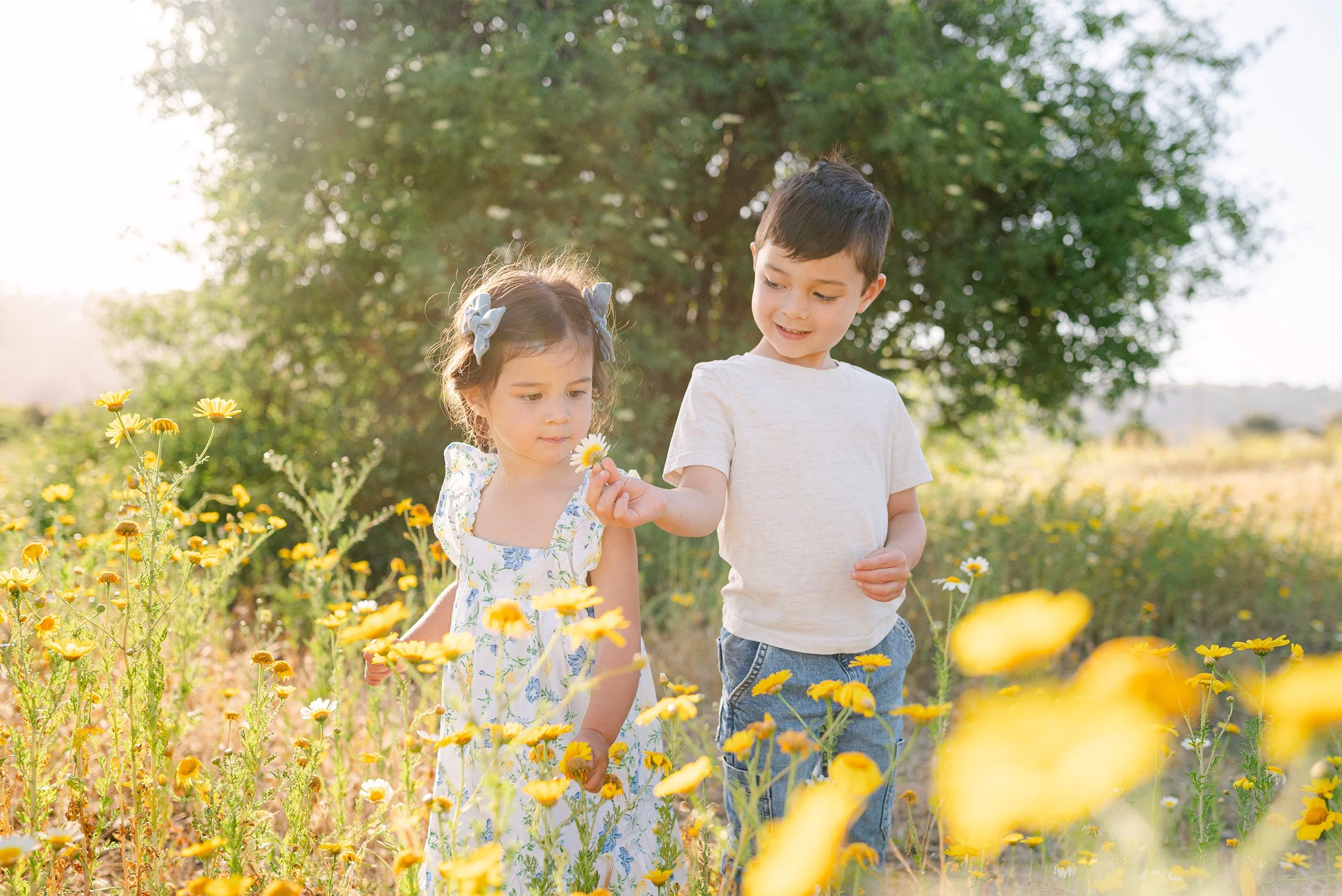 Orange County family photographer captures siblings examining flowers together in golden light