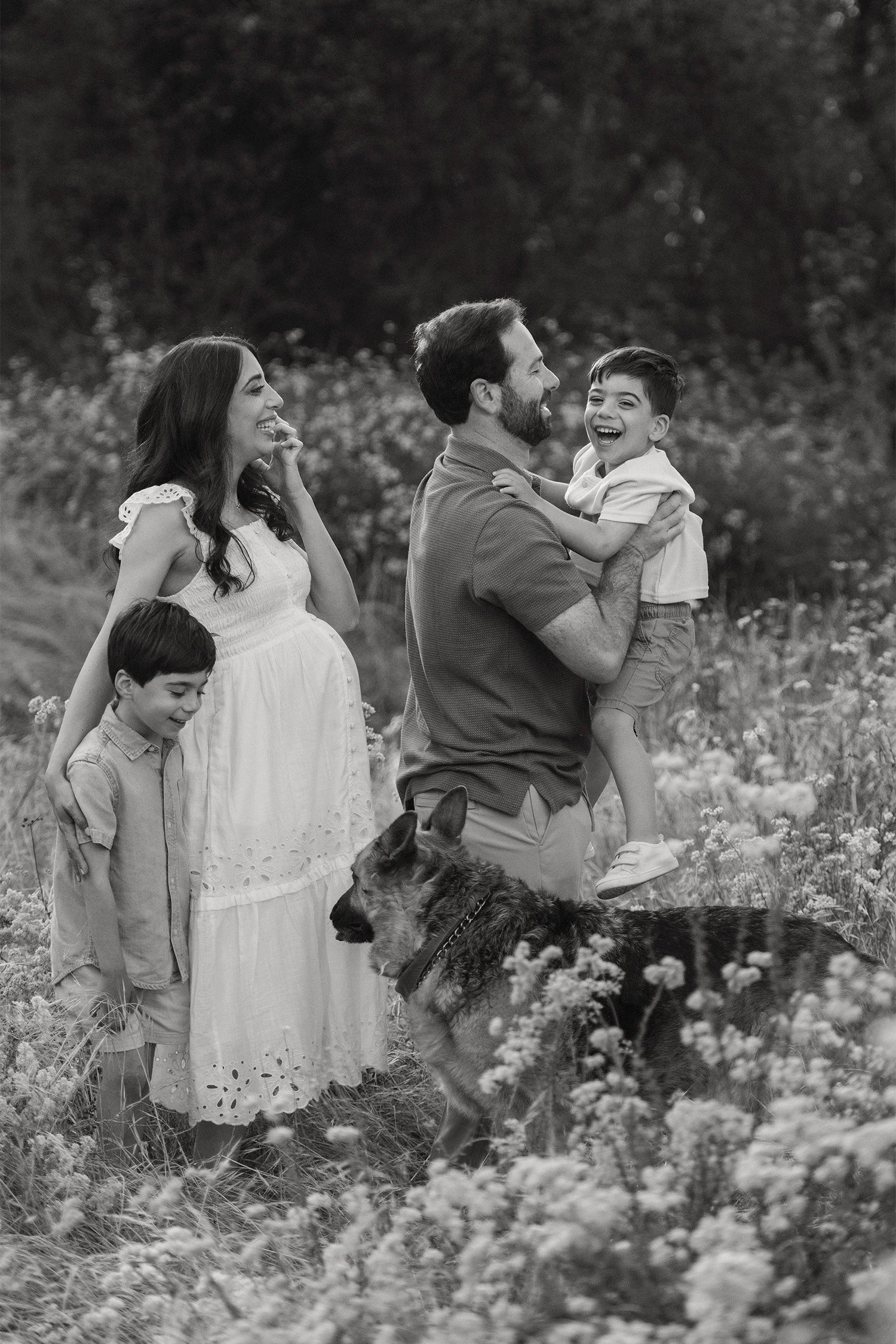 Award-winning family photographer in Orange County captures pregnant mother and father laughing with sons and family dog in a meadow