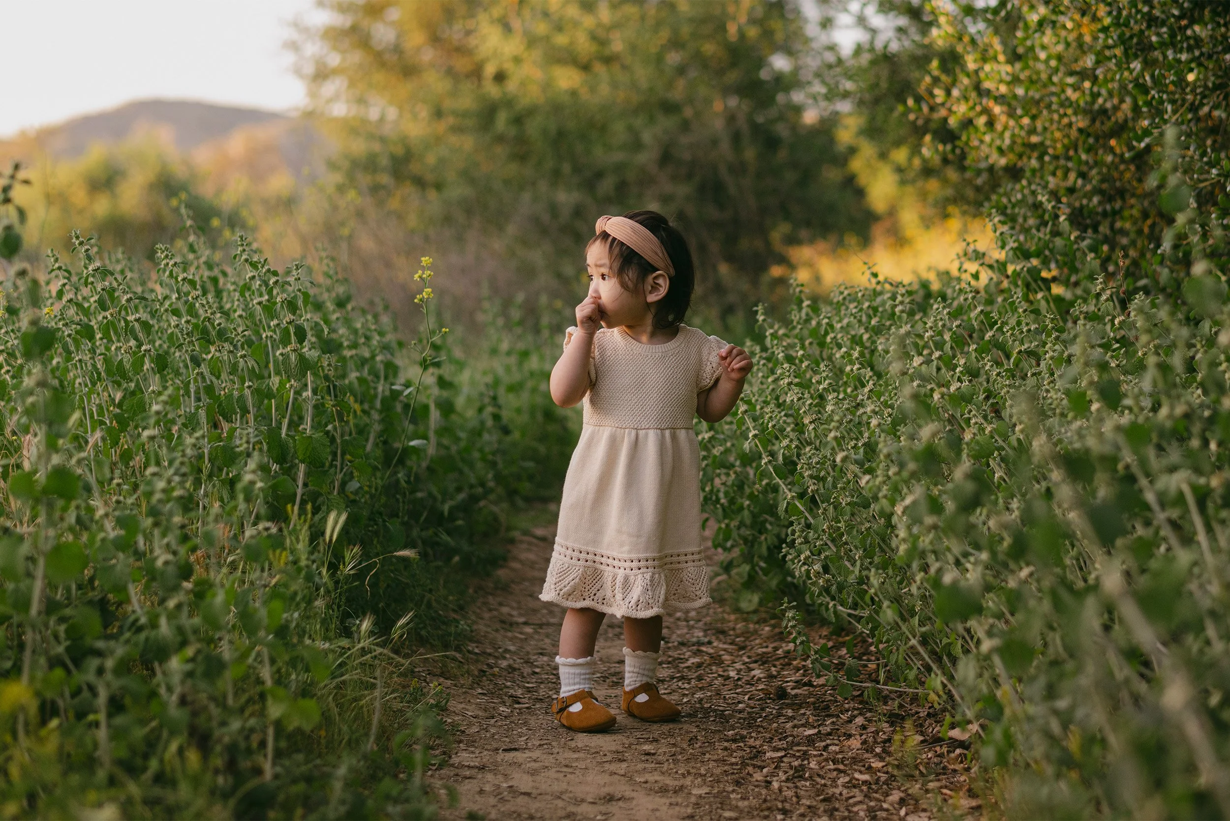 Award-winning family photographer in Orange County captures toddler in knit dress on garden pathway