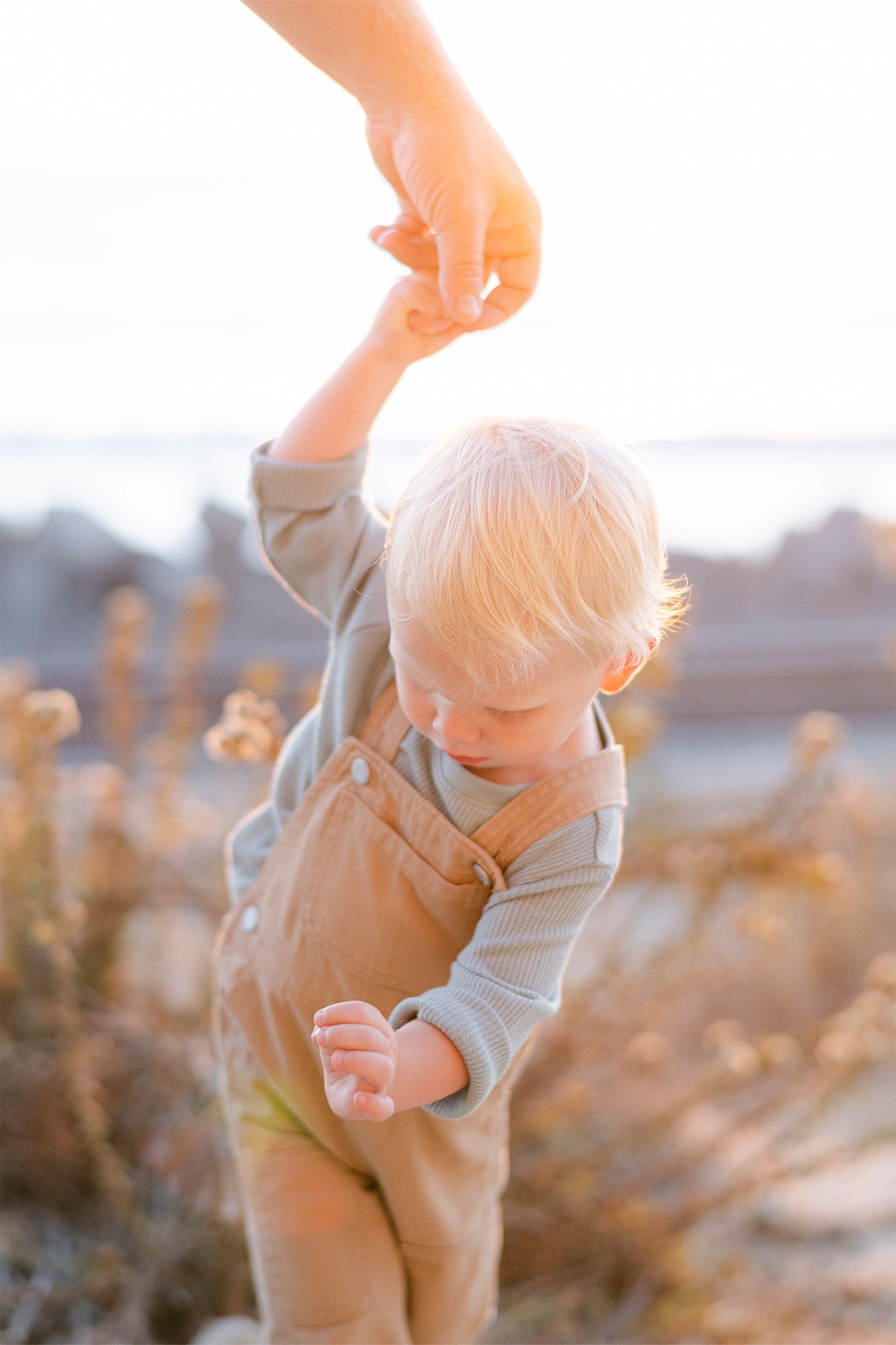 Highly recommended family photographer photographs toddler boy reaching up to hold a parent's hand at the beach