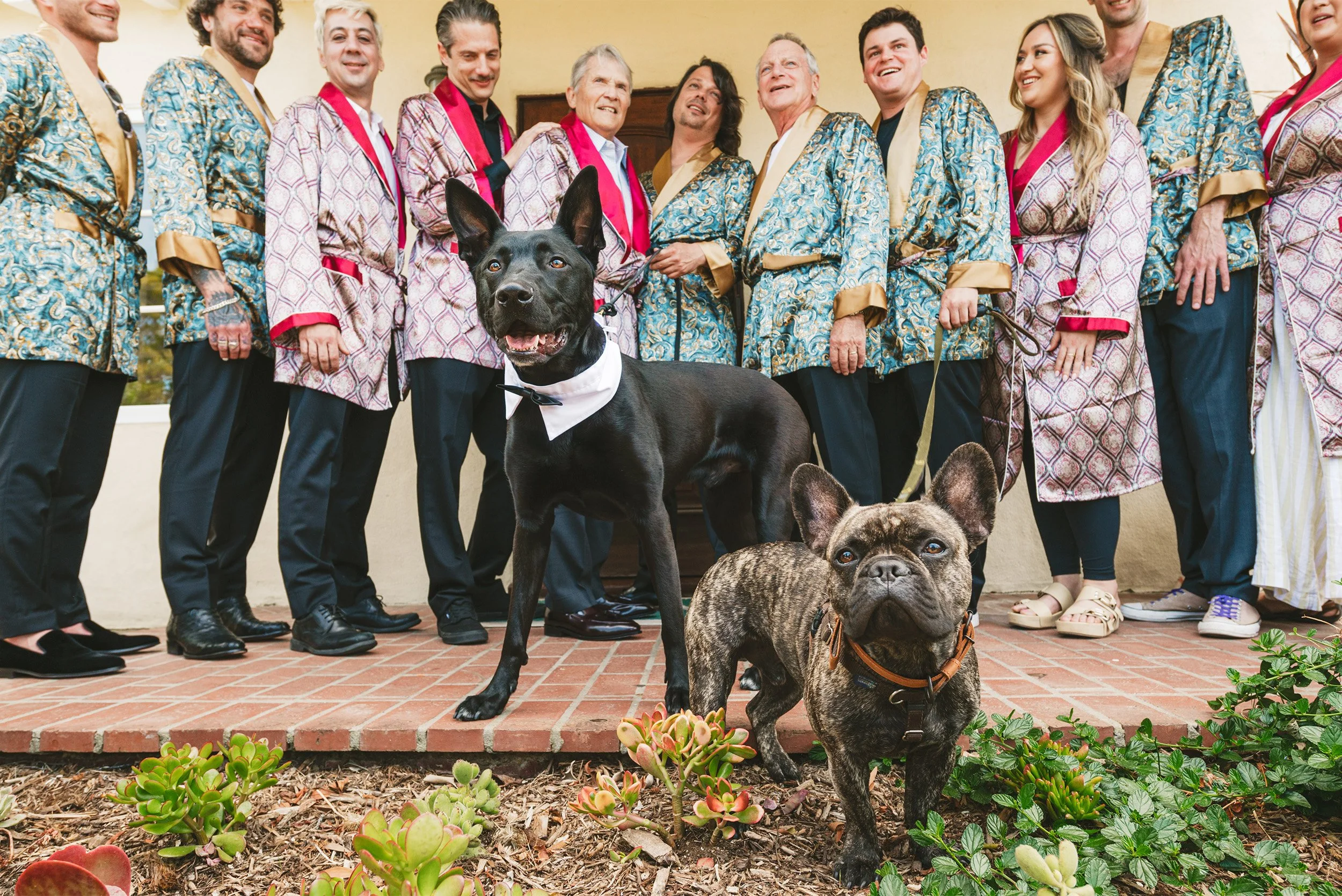 Highly recommended wedding photographer in Orange County captures groomsmen in patterned robes posing at The Inn in Rancho Santa Fe with two dogs before wedding, pet-friendly wedding photographer