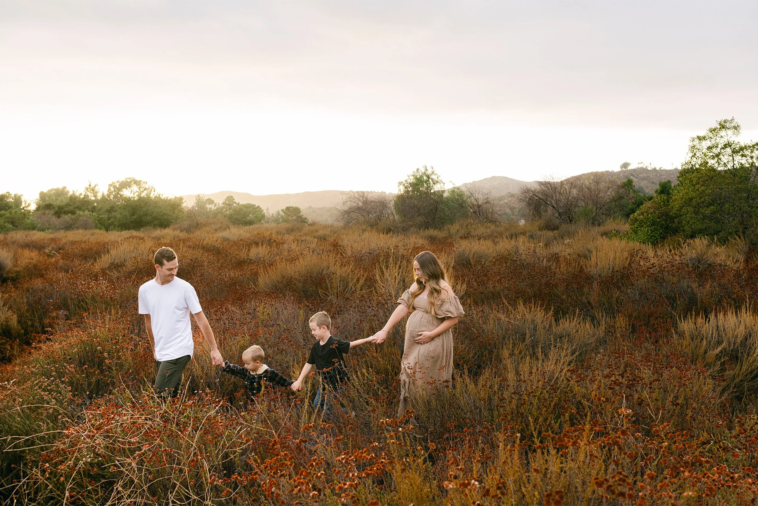Orange County family photographer captures maternity family portrait in autumn wildflower field