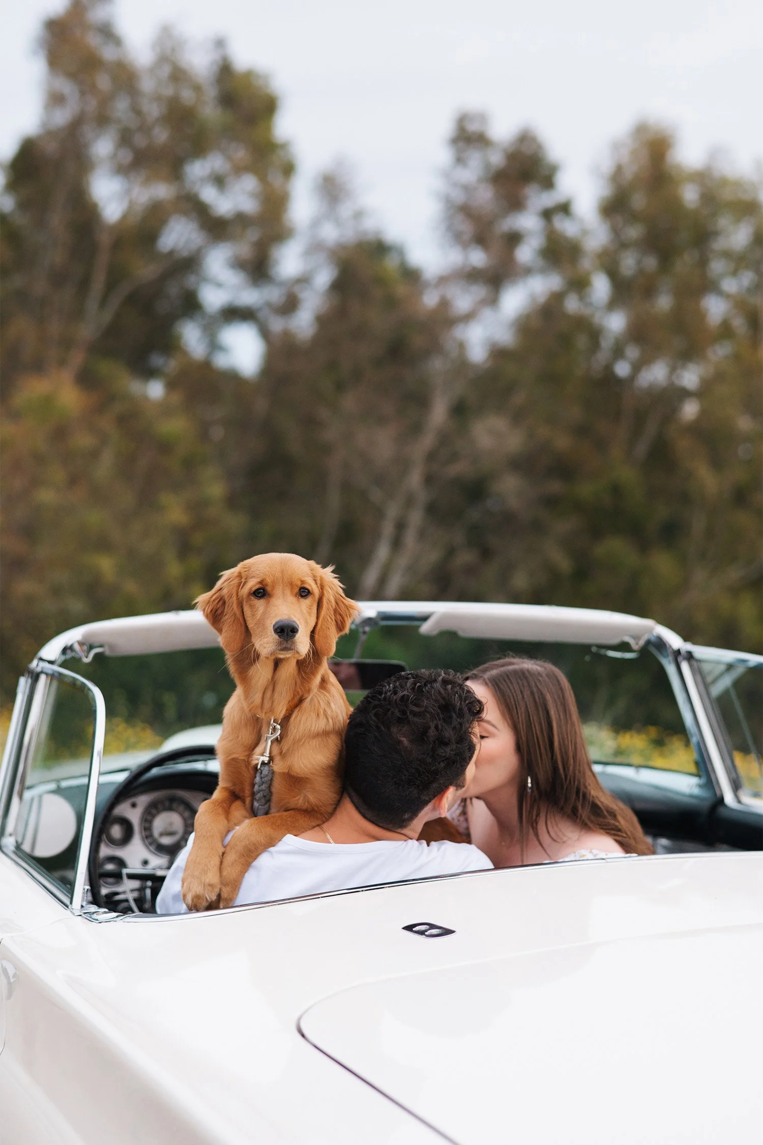 Malibu pet-friendly engagement photographer captures couple kissing in convertible with golden retriever puppy along for the ride