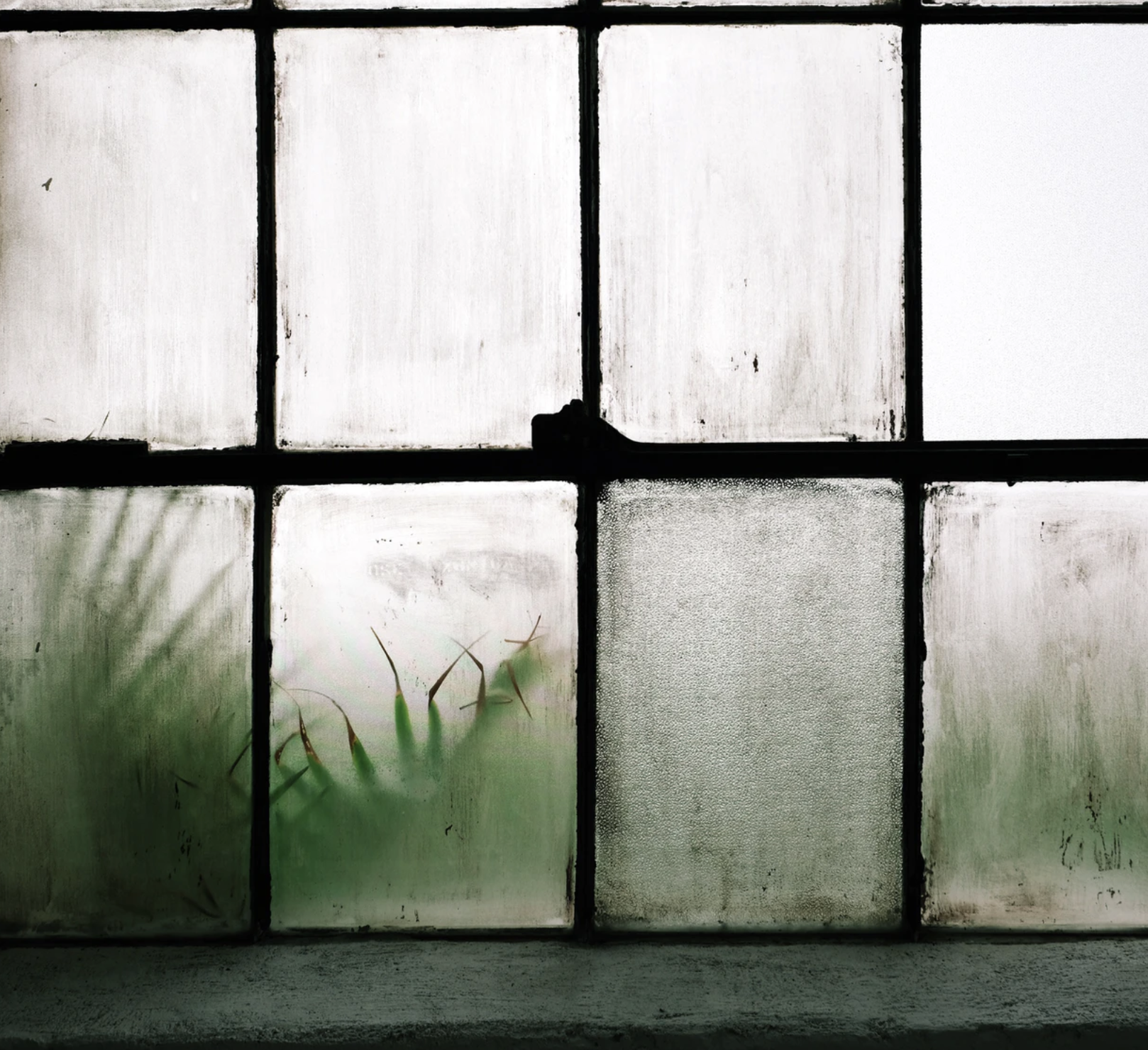 The Wall by H.G. Adler