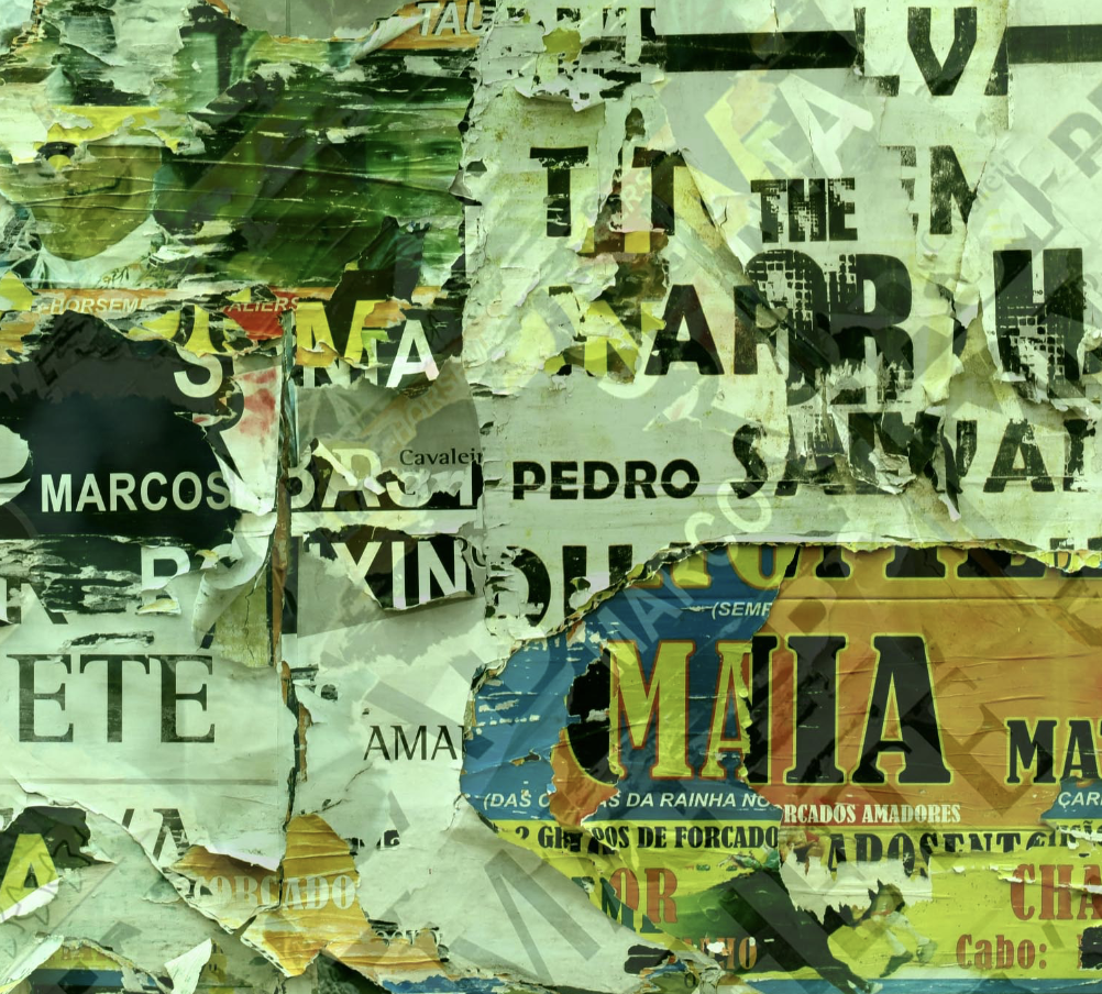 geographies_dissent_ron_burnett_critical_approaches