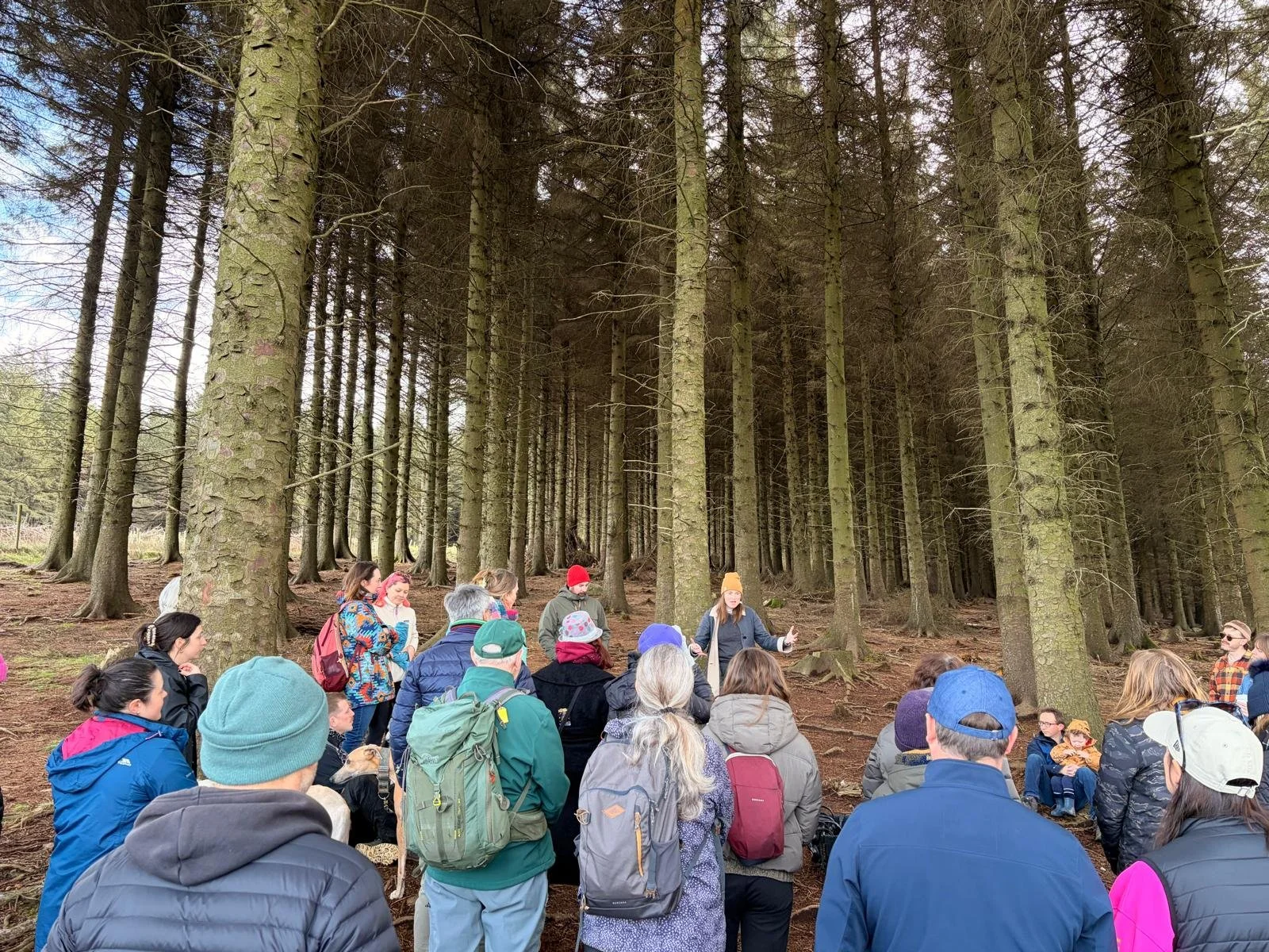 Photo from alex gill(1).jpg