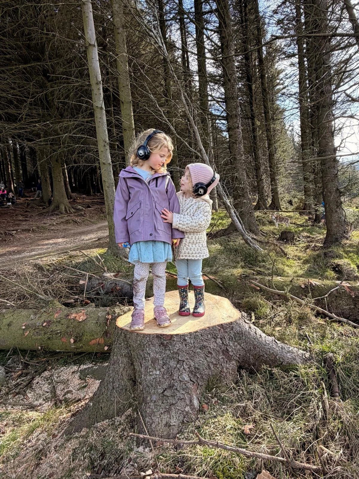 Photo from alex gill.jpg