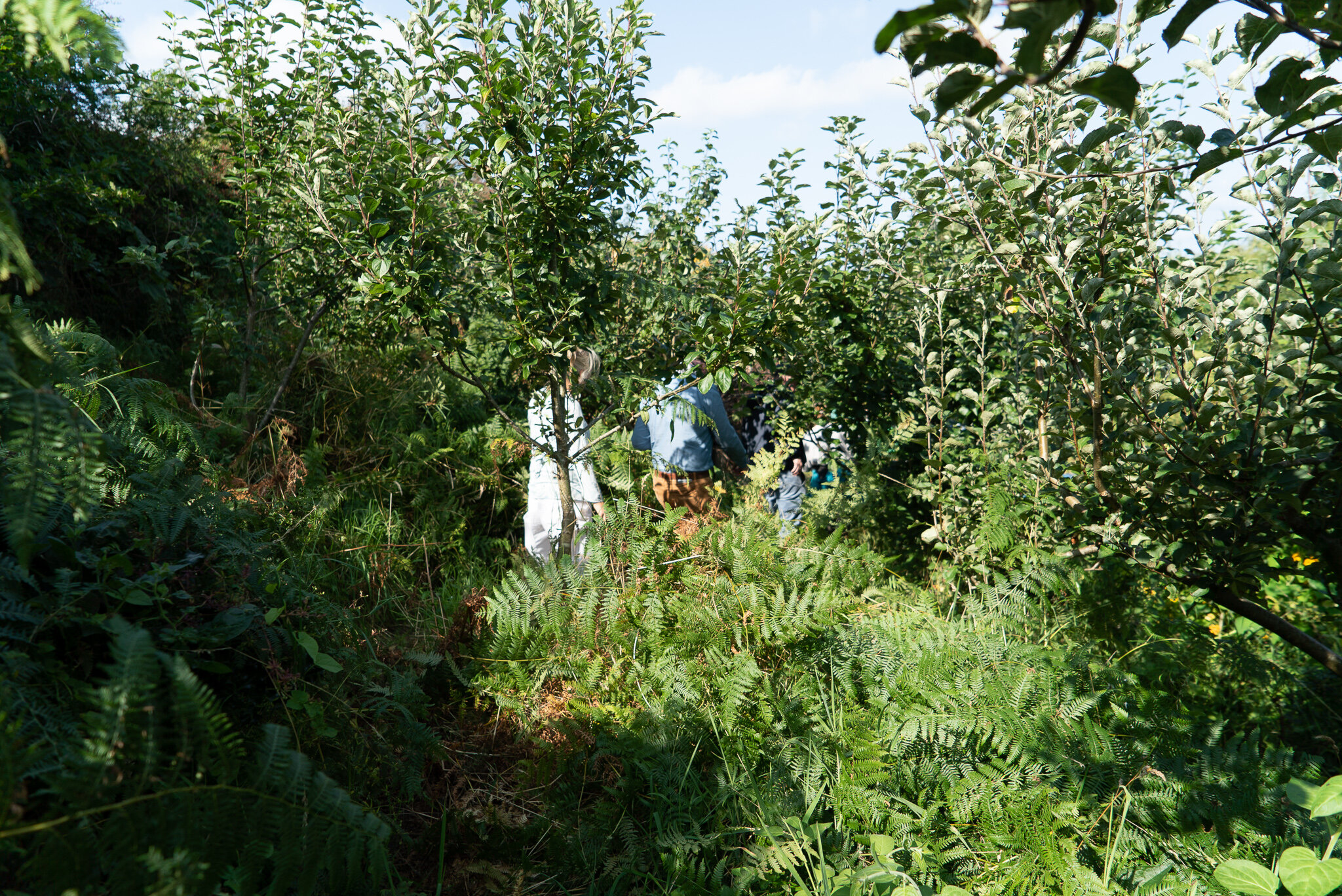 _DSC8790.jpg