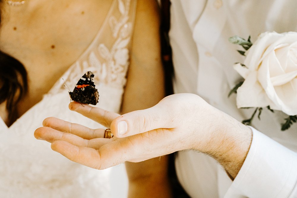 Wedding & Elopement Photography, Bride and groom gently holding a butterfly.
