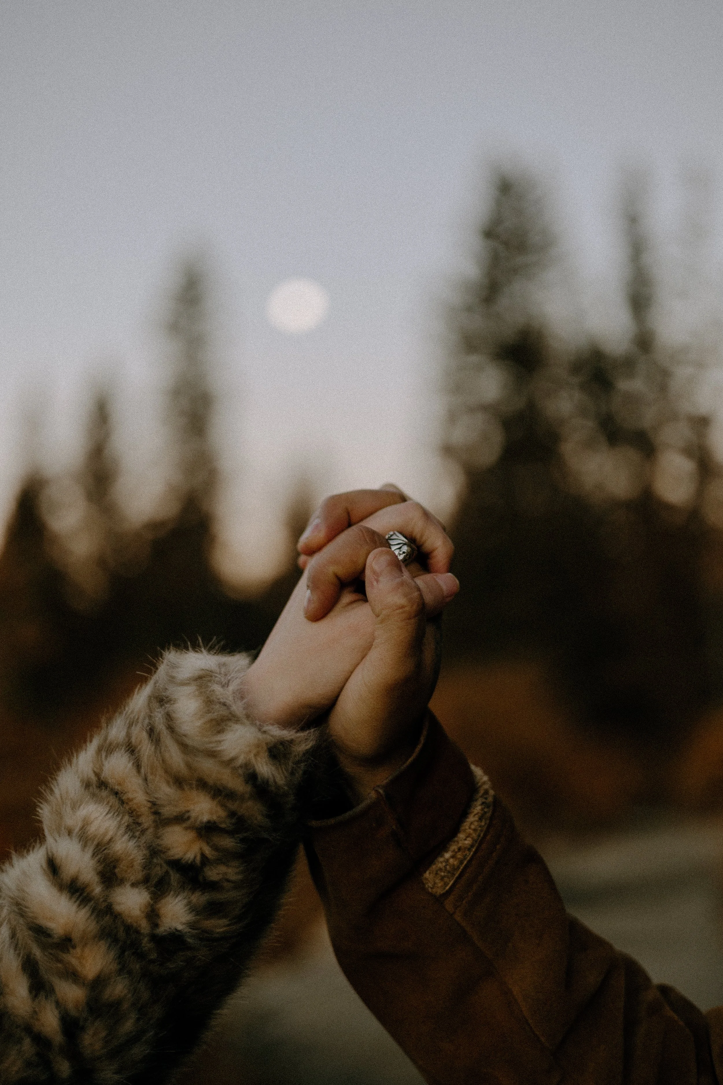 Houston & Texas Wedding & Elopement Photography – Bride and groom holding hands with rings near Echo Lake Colorado.