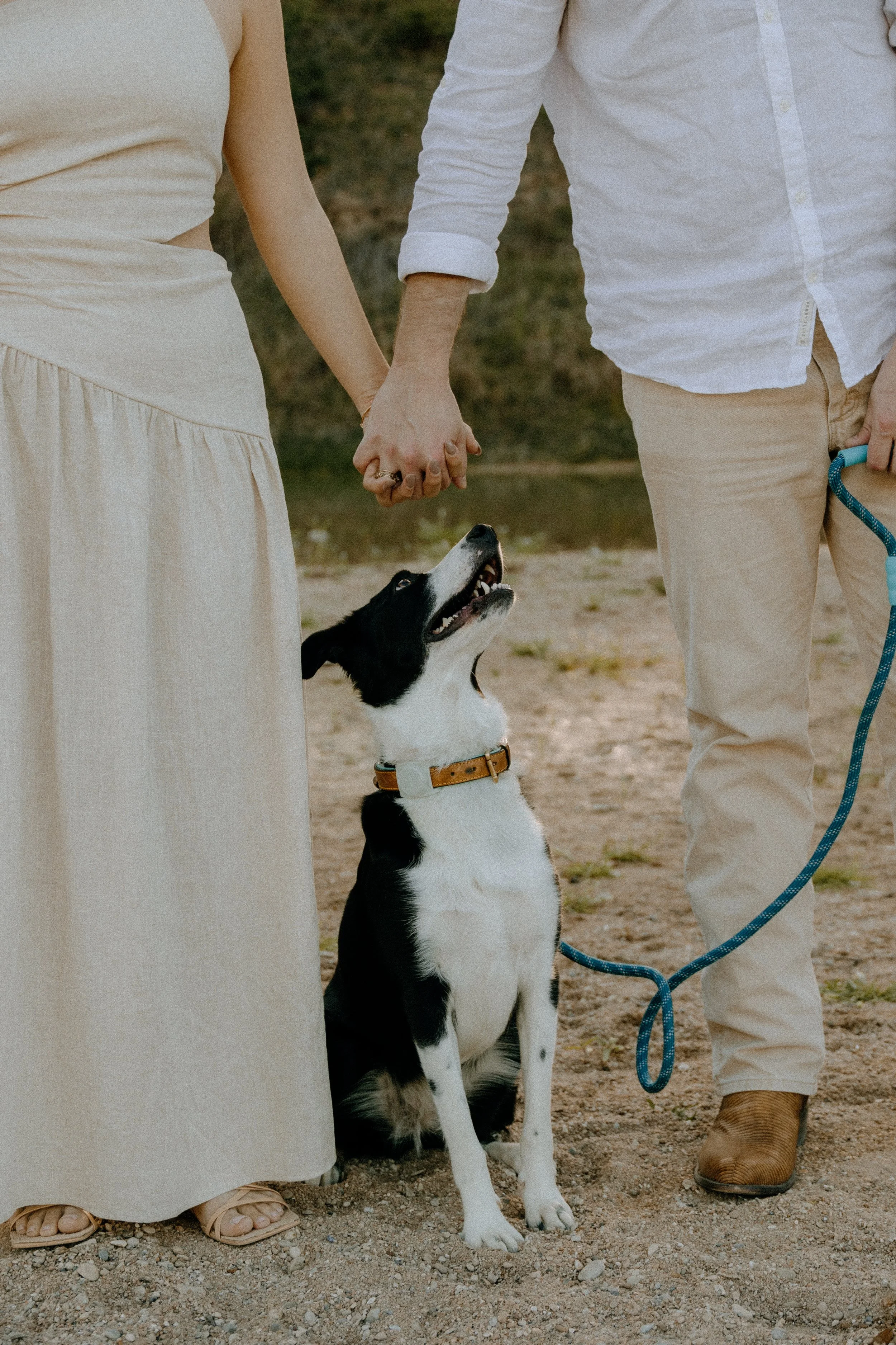 Houston & Texas Family, Couples, Newborn, Maternity, Bridal Photography – Couple holding hands with dog in Austin TX sunset portraits.