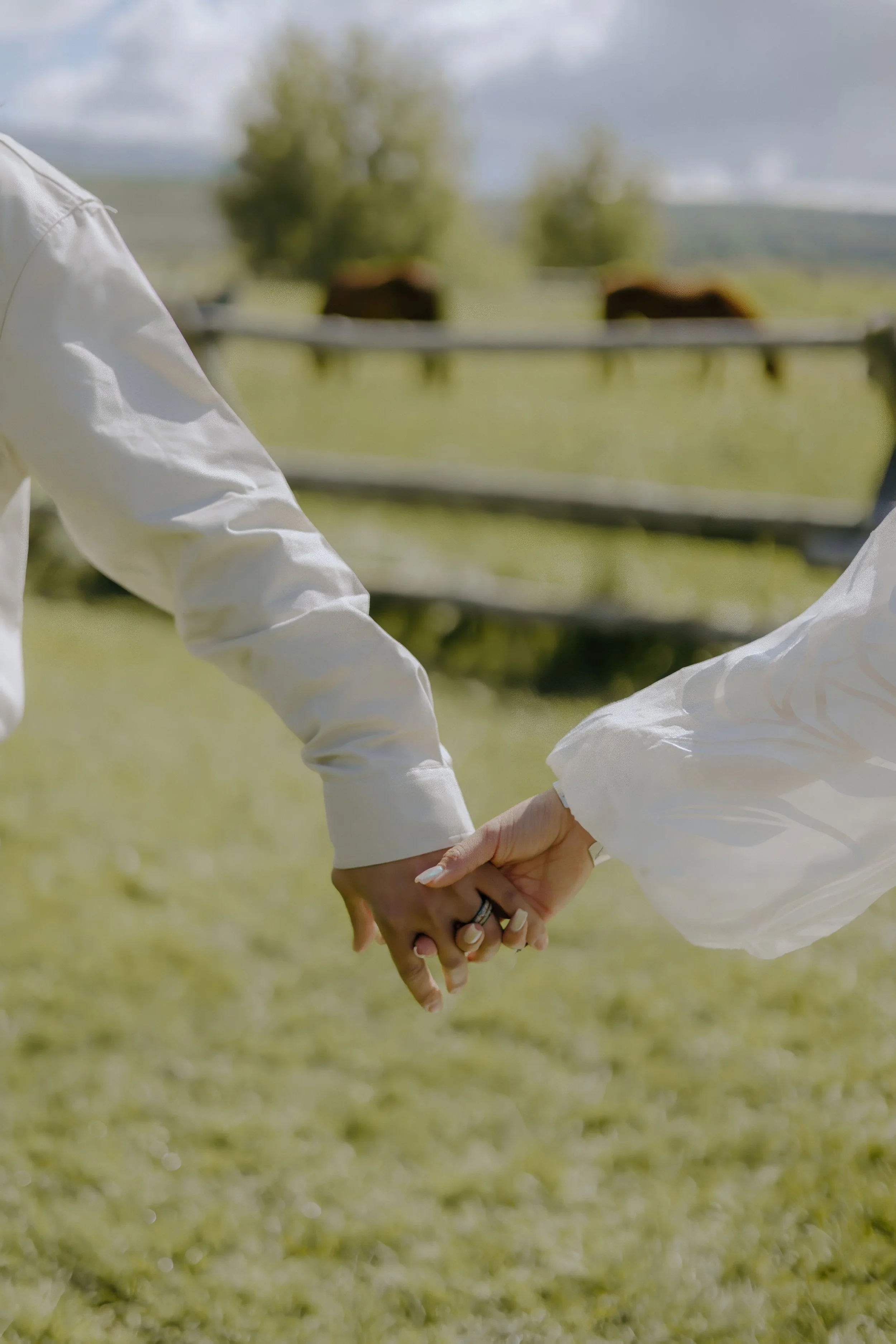 Houston & Texas Wedding & Elopement Photography – Couple hugging near grazing horses at Diamond Cross Ranch, Jackson WY.