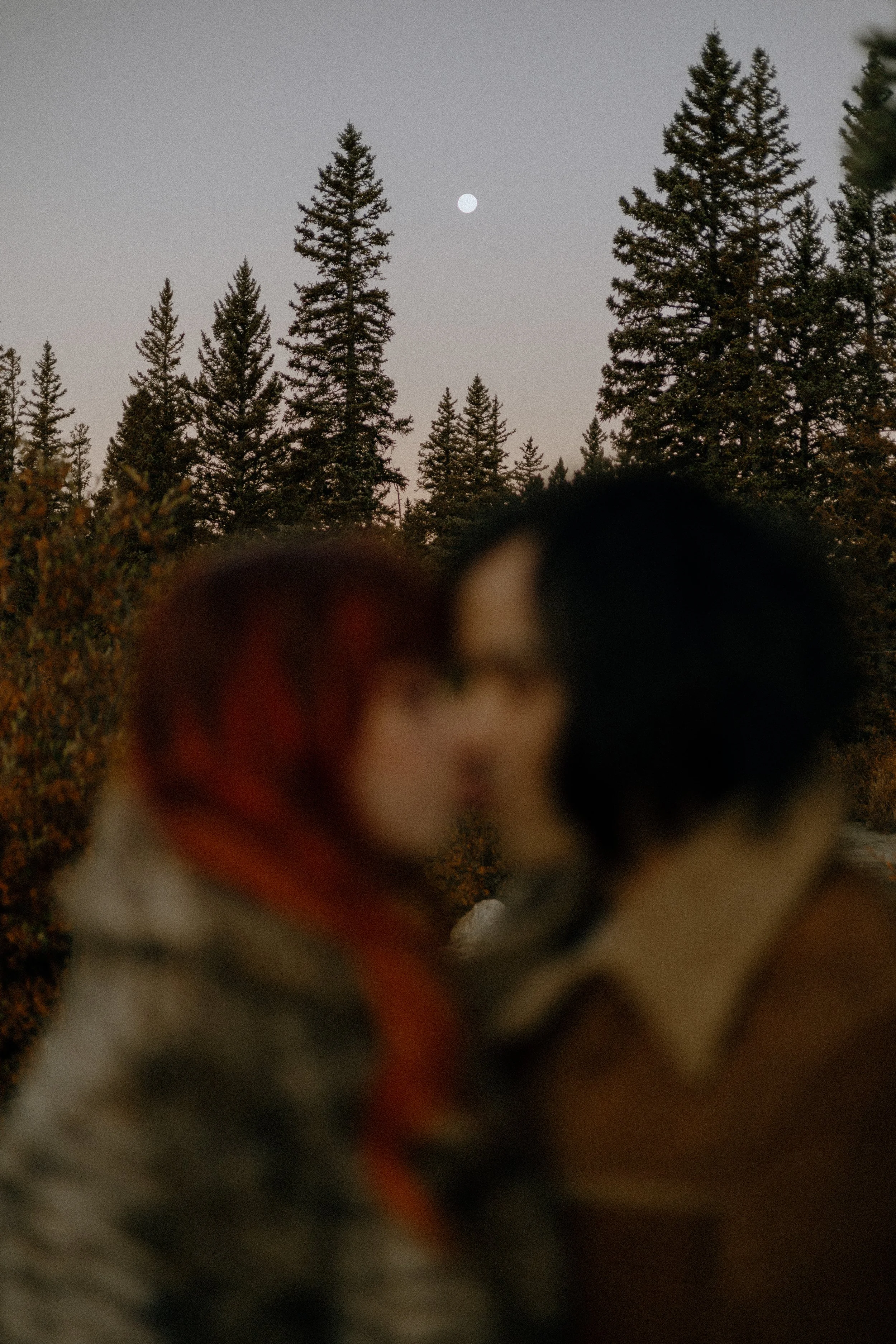 Houston & Texas Wedding & Elopement Photography – Couple kissing under tall pines at Echo Lake Colorado mountain elopement.