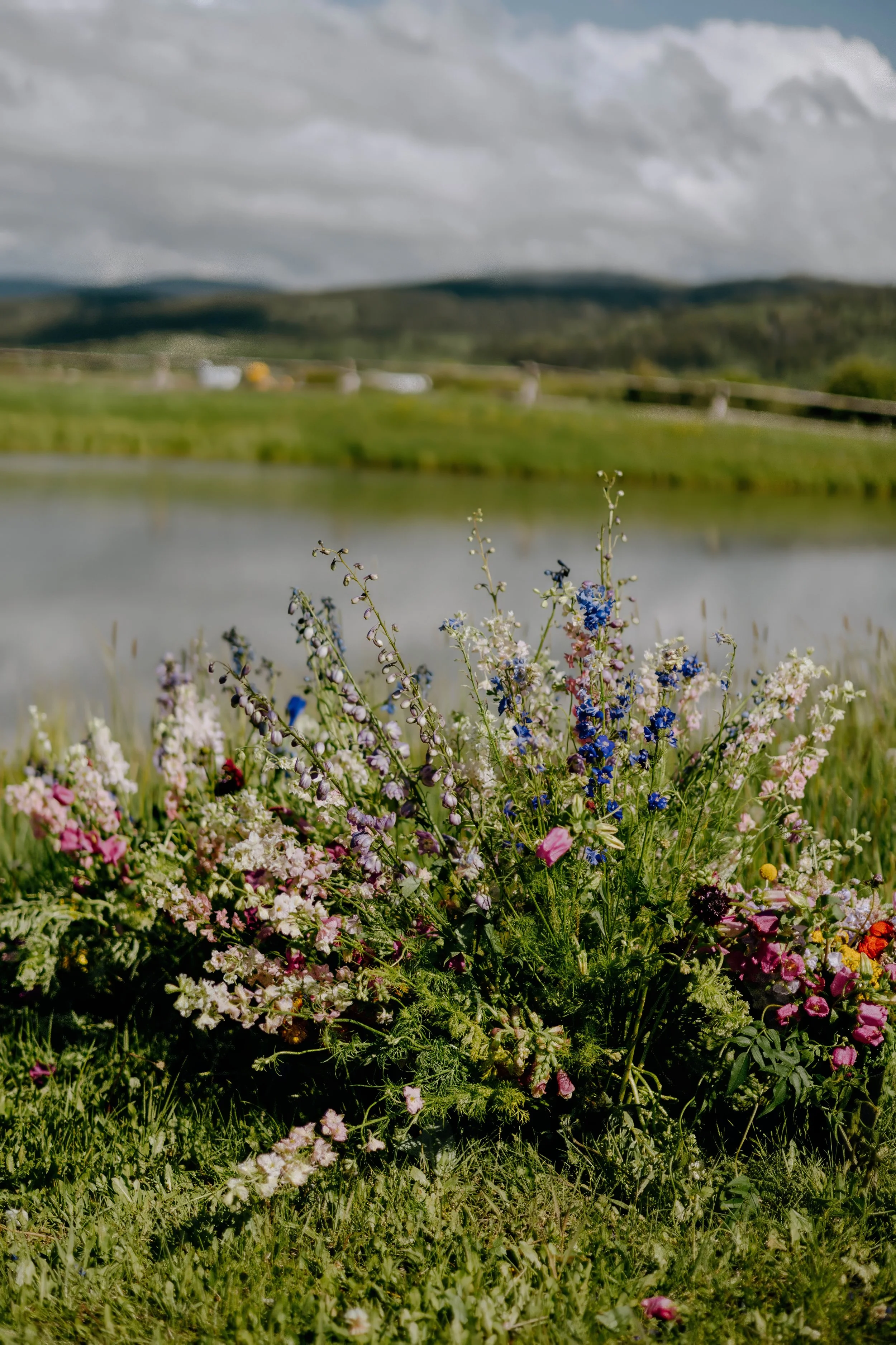 Houston & Texas Wedding & Elopement Photography – Bride and groom holding hands with grazing horses in background at Diamond Cross Ranch.