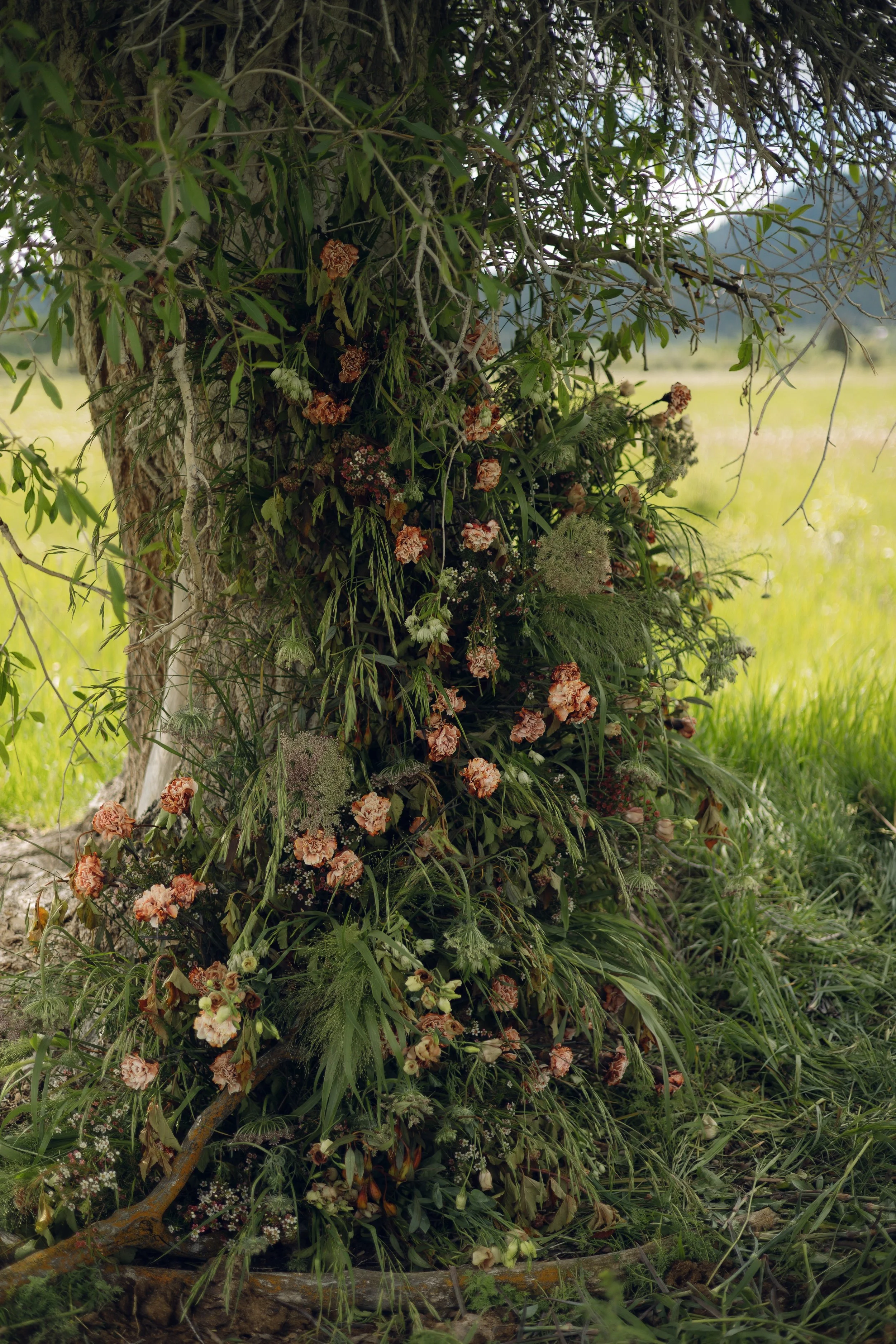 Houston & Texas Wedding & Elopement Photography – Willow tree covered in flowers at Diamond Cross Ranch wedding field.