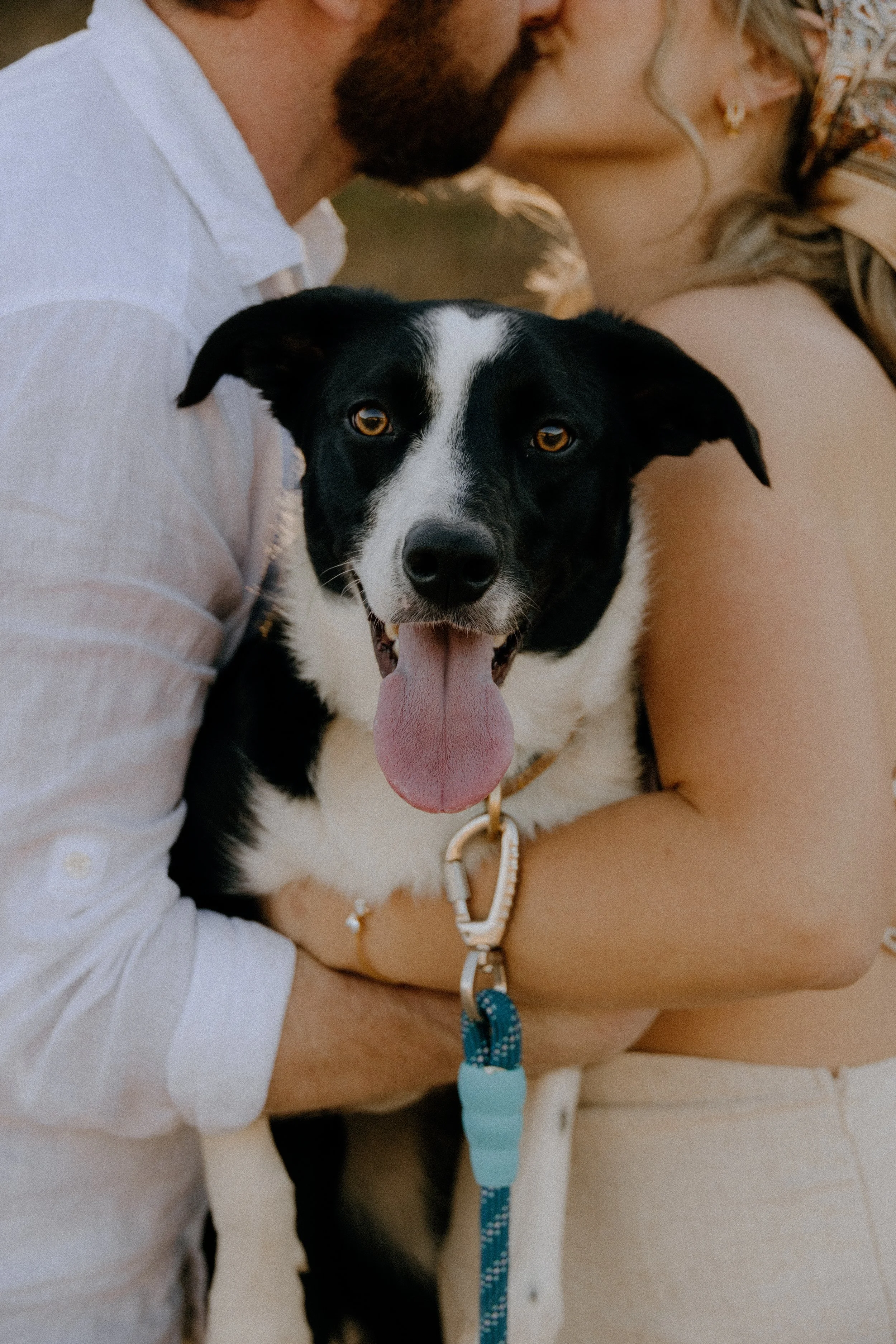 Houston & Texas Family, Couples, Newborn, Maternity, Bridal Photography – Dog close-up portrait during Austin TX couple’s session.