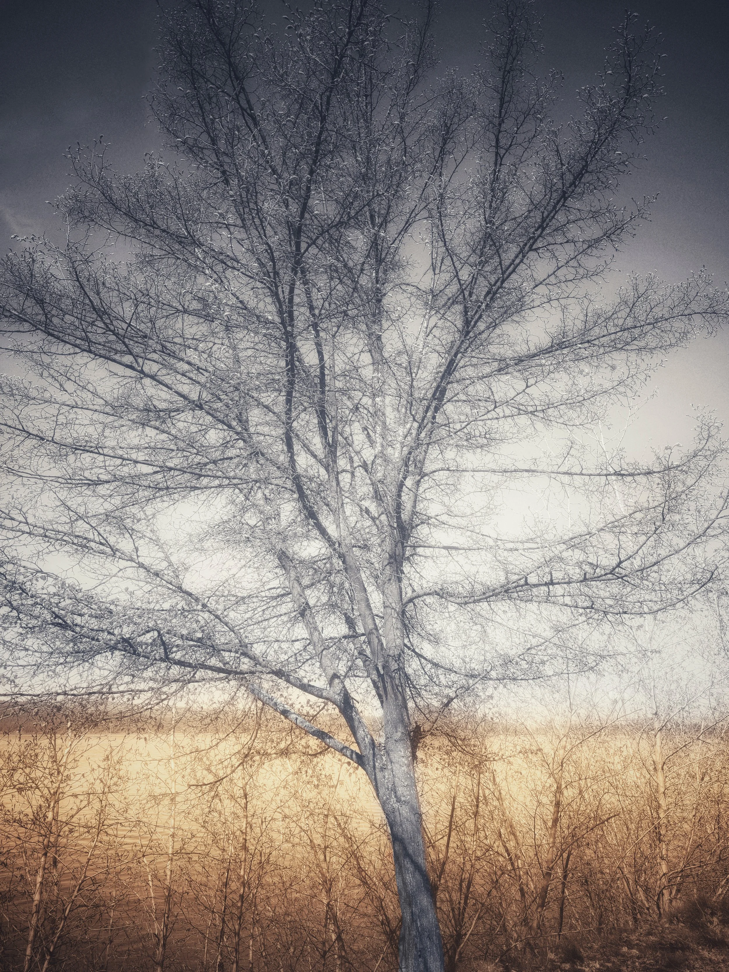 IMG_4836, v2, edit.jpg