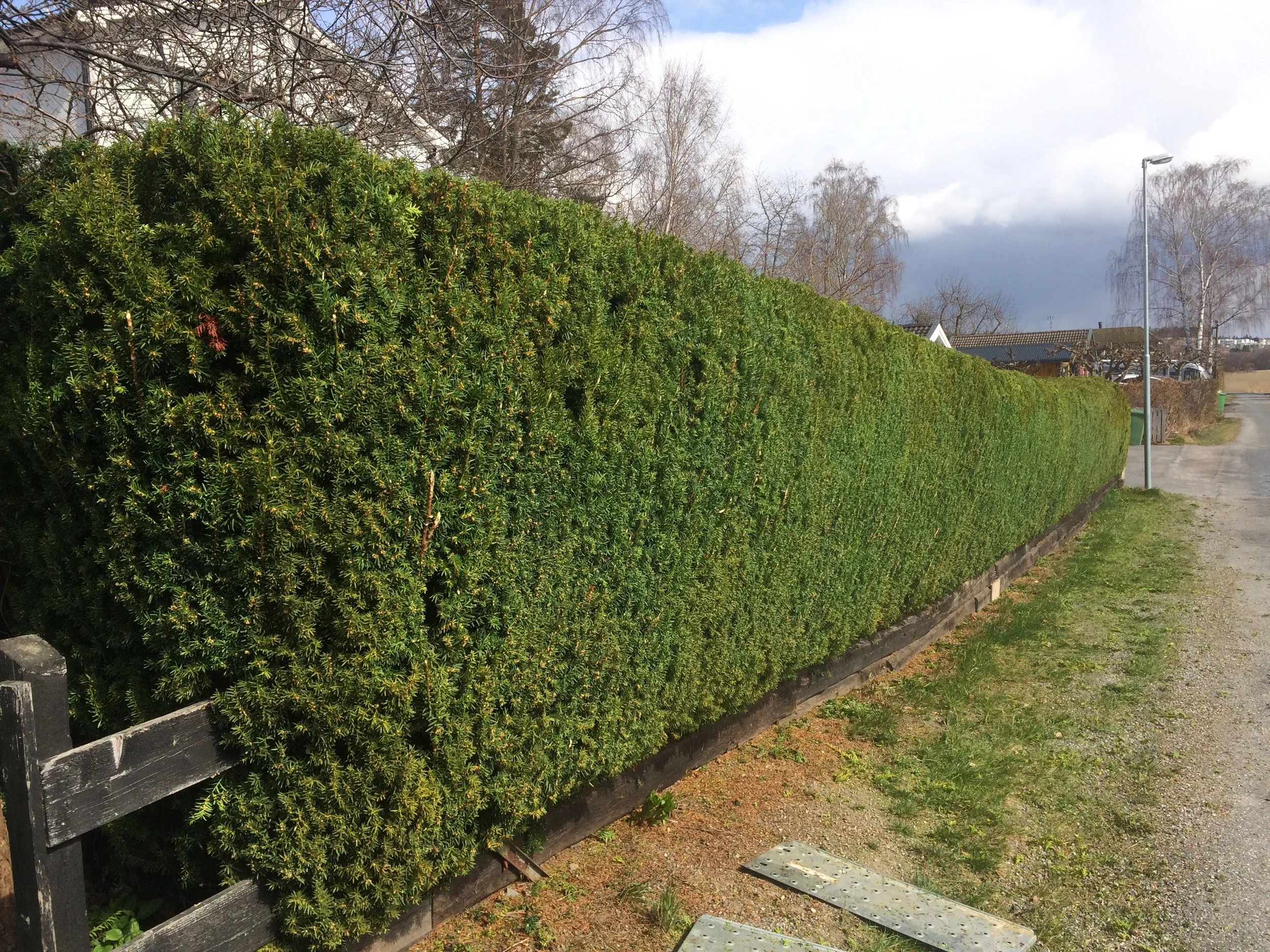 En fin häck till säsongen