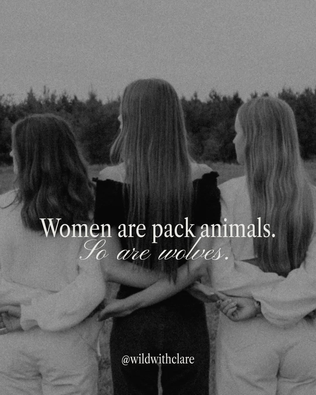 Women are not designed for isolation.
And neither are wolves.

Wolves co-regulate. They hunt together, rest together, defend together, grieve together.
The pack isn&rsquo;t a &ldquo;nice-to-have.&rdquo; It&rsquo;s survival.

Modern life and 80s power