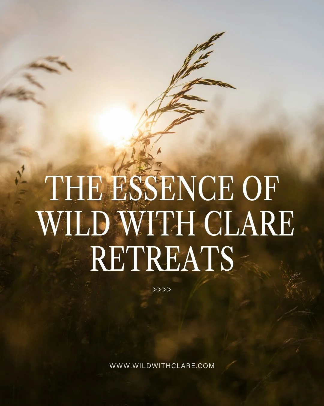 The wild within us is sacred. Beneath the pressure to perform and the roles we carry, there is a truer, freer part of us waiting to be remembered.

My retreats are an invitation to soften, unravel, and return to her. There, we meet her unseen depths,